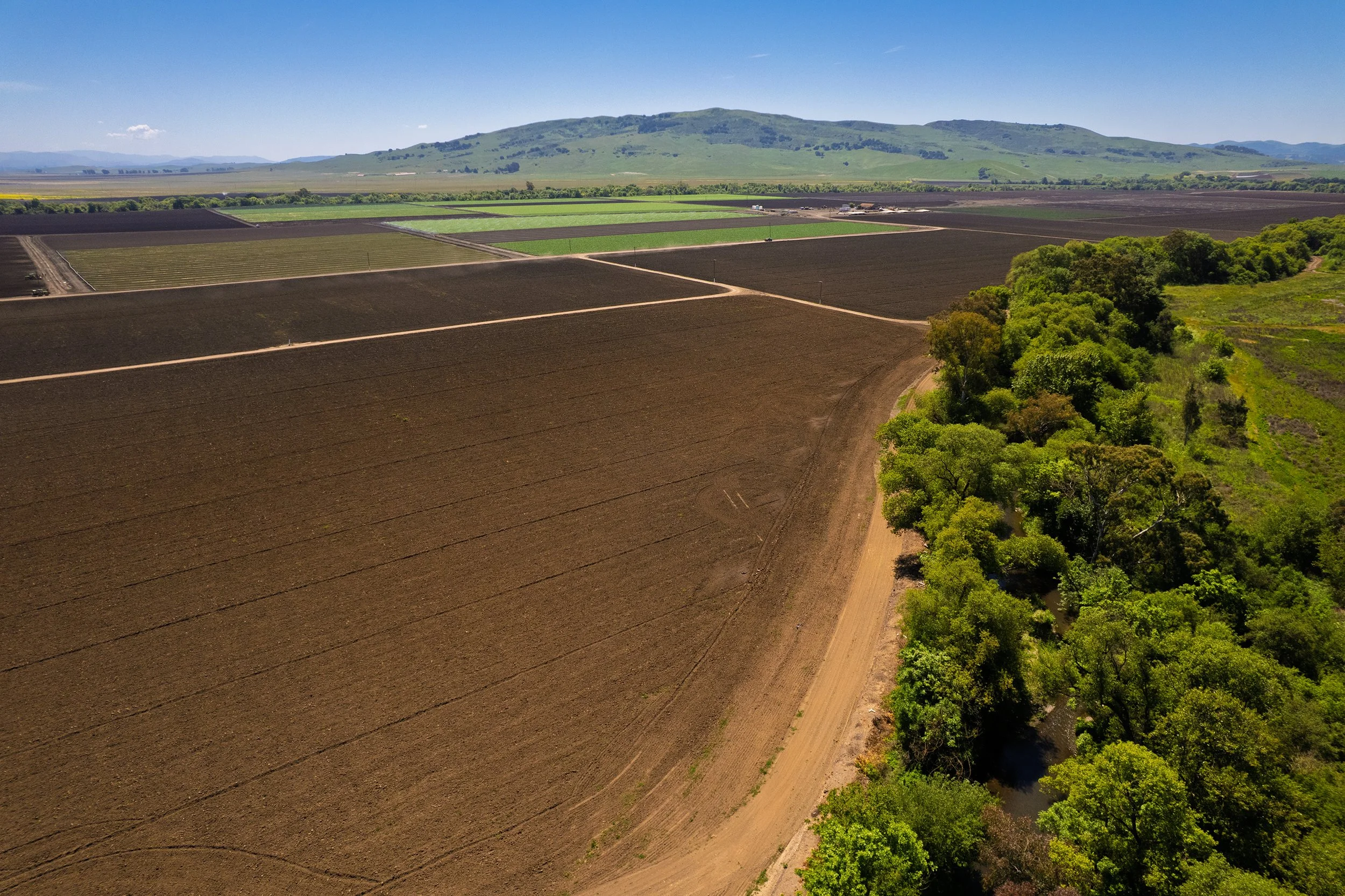DJI_0845.jpg