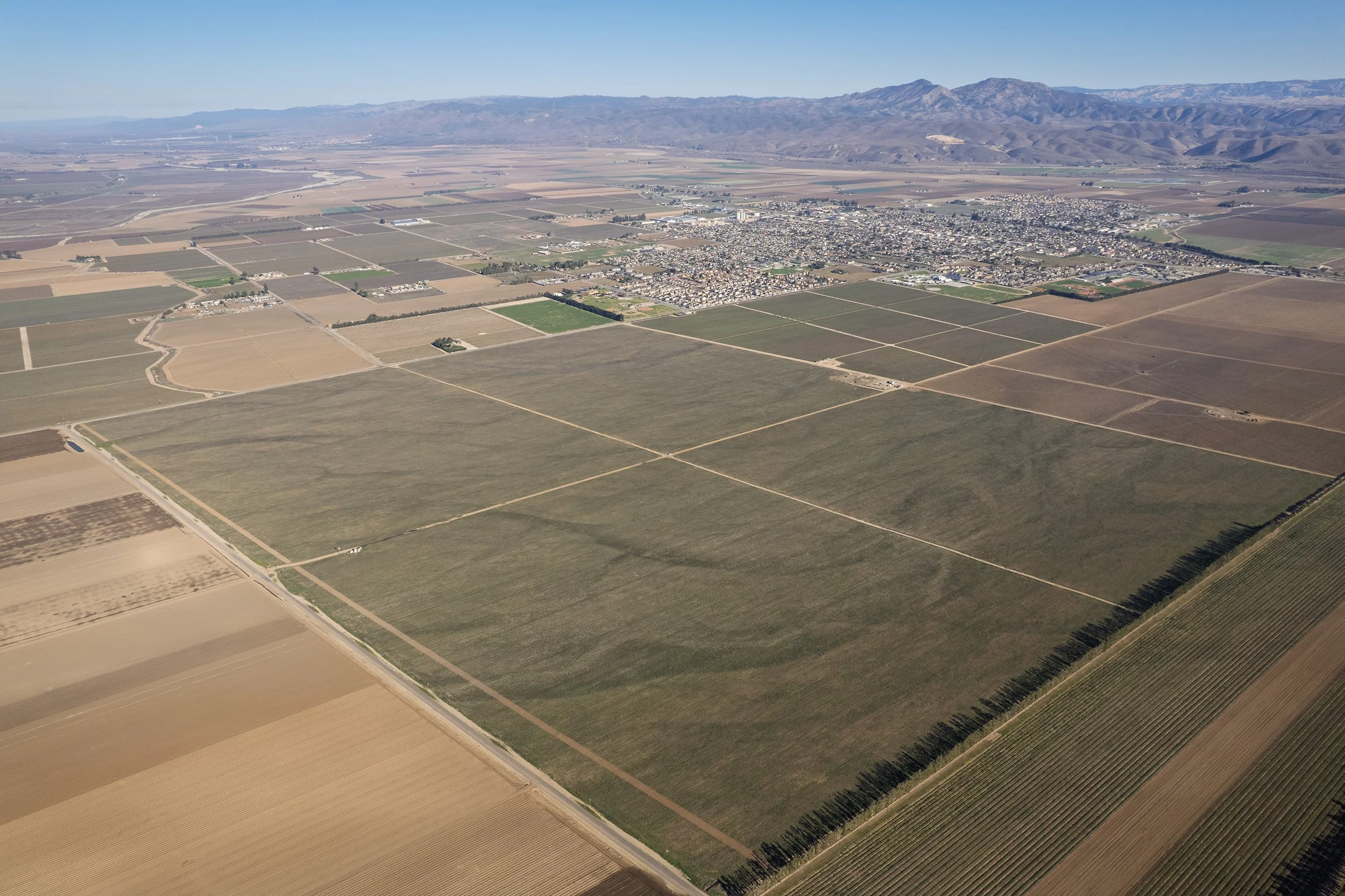DJI_0561.jpg