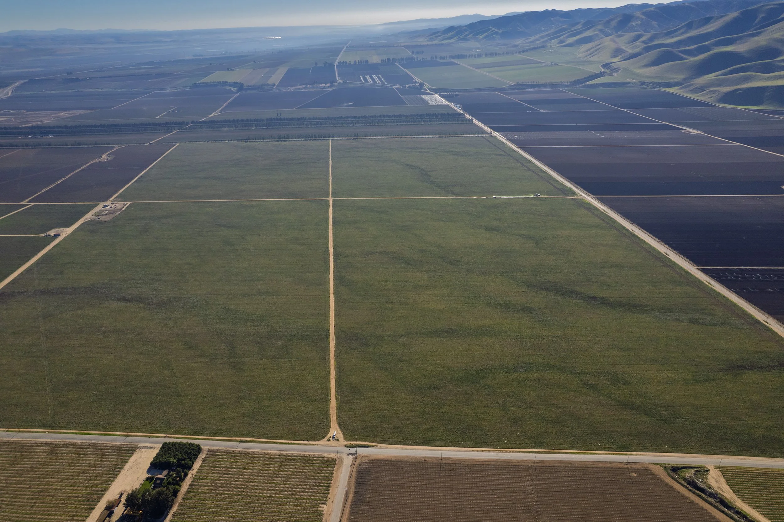 DJI_0573.jpg