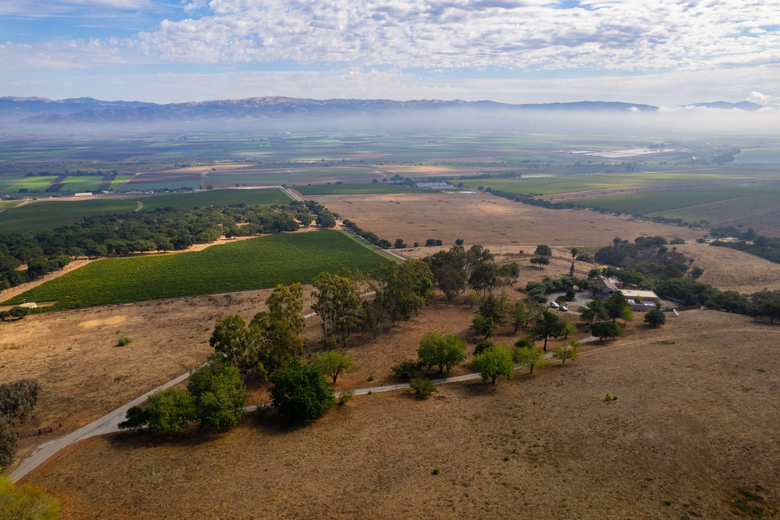 DJI_0990.jpg
