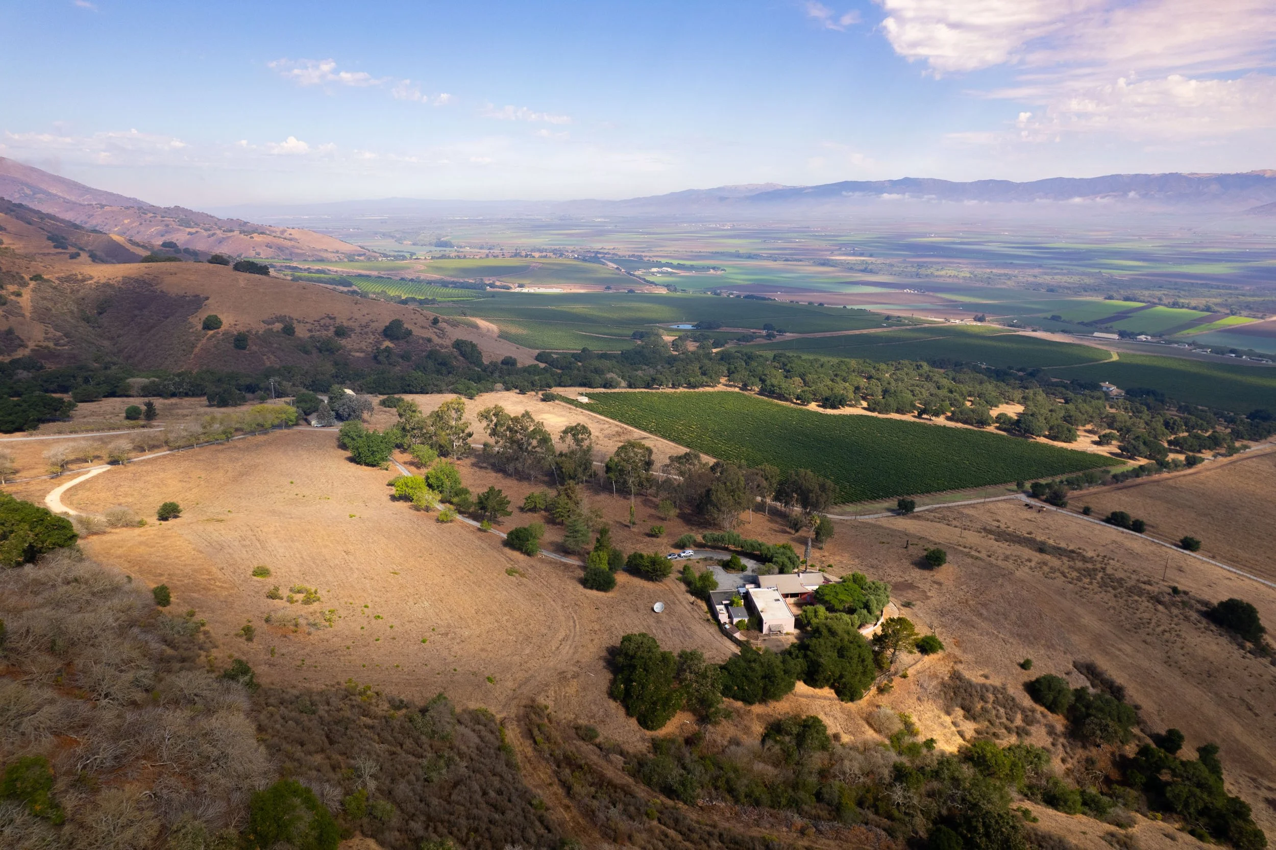 DJI_0994.jpg