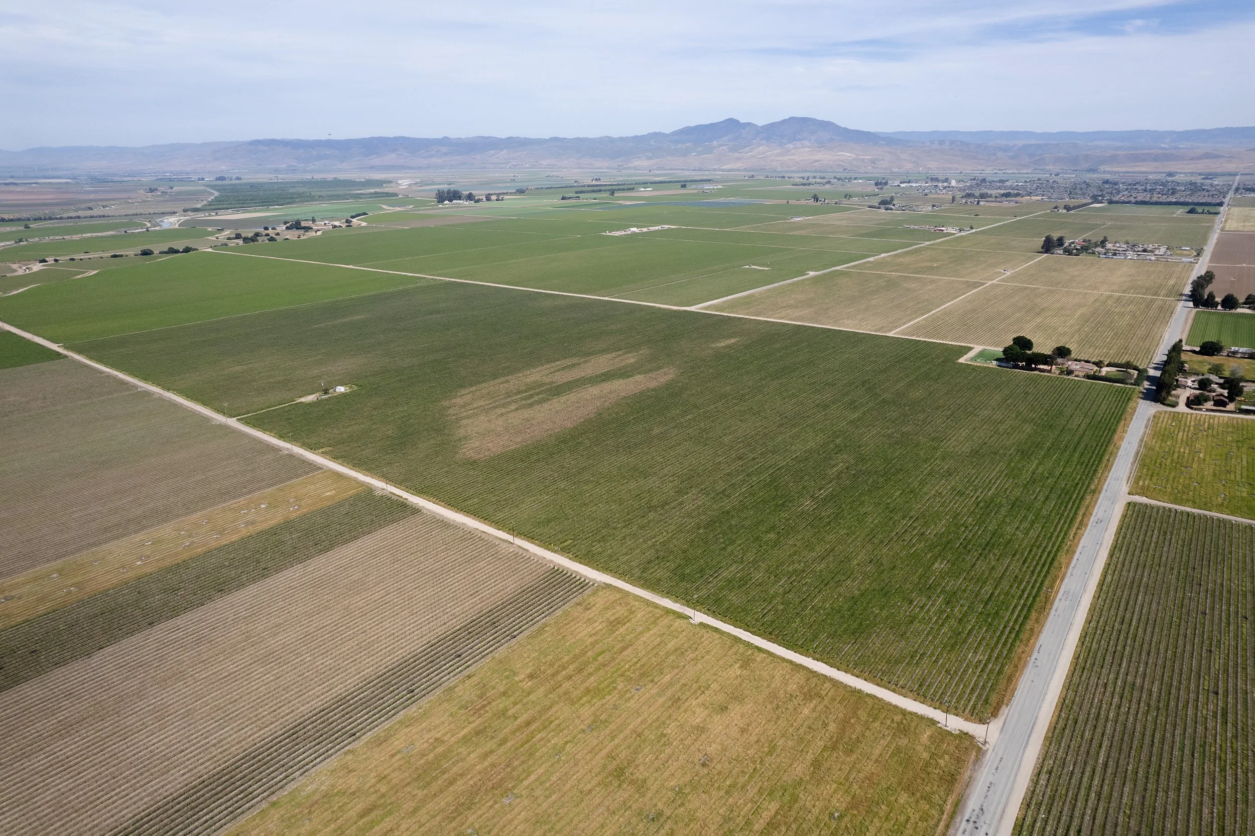 DJI_0360.jpg