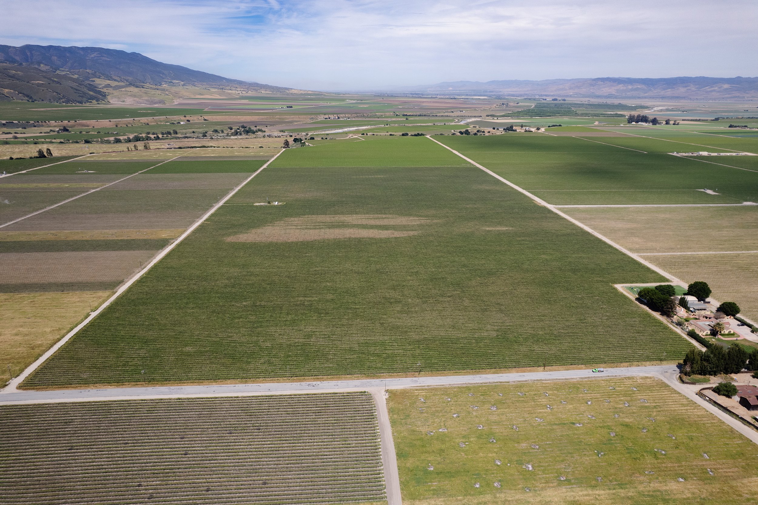 DJI_0362.jpg