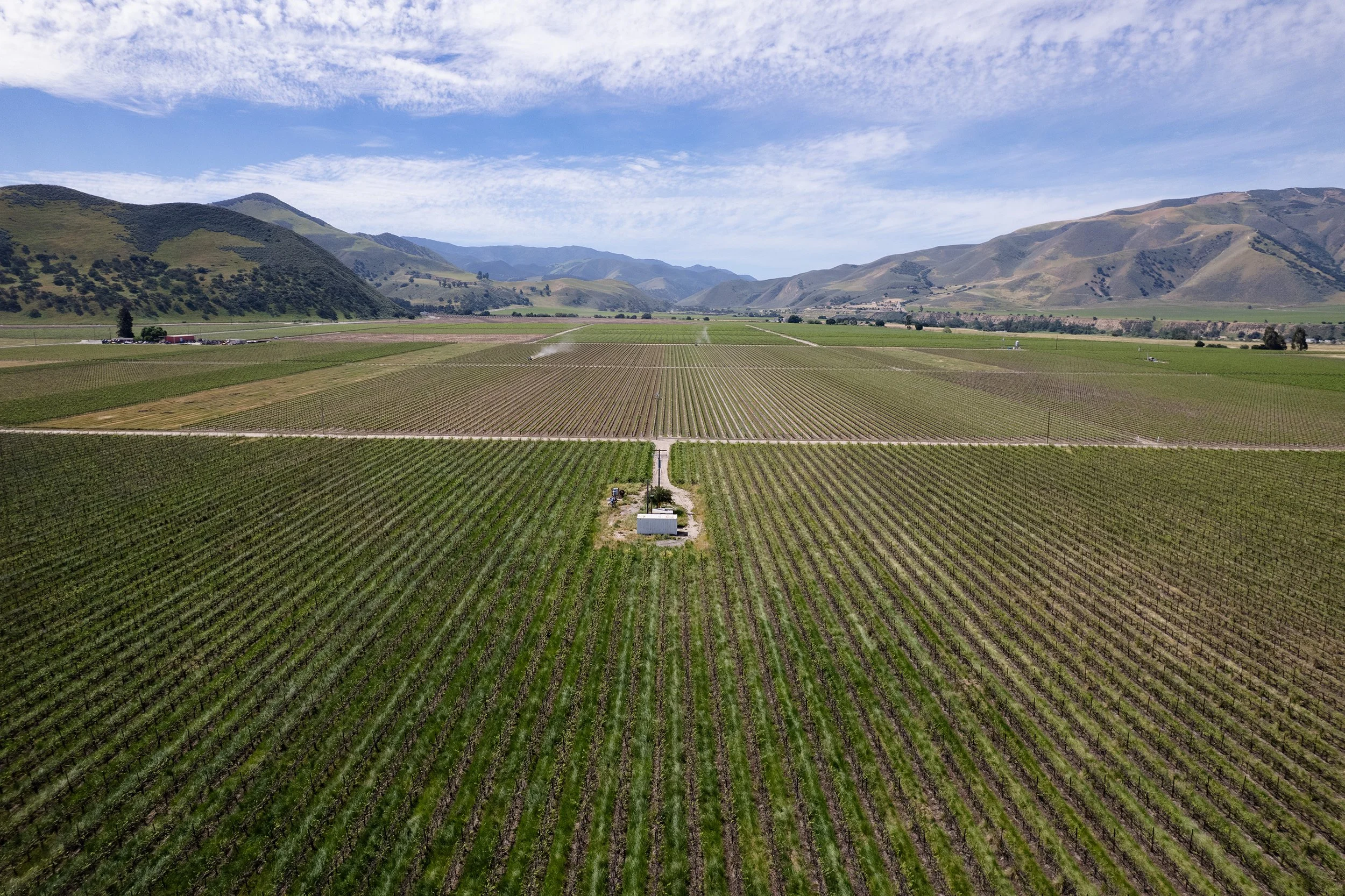 DJI_0366.jpg