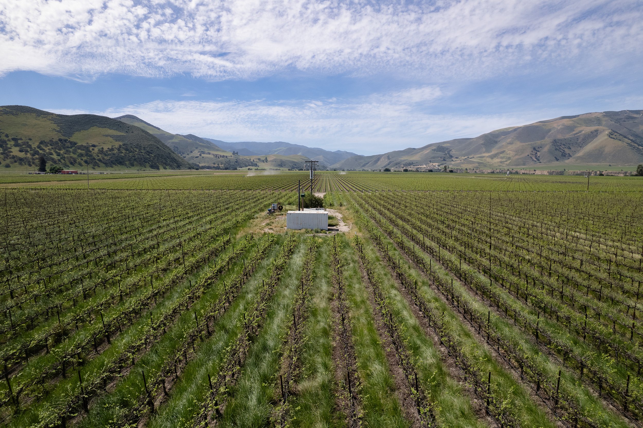 DJI_0367.jpg