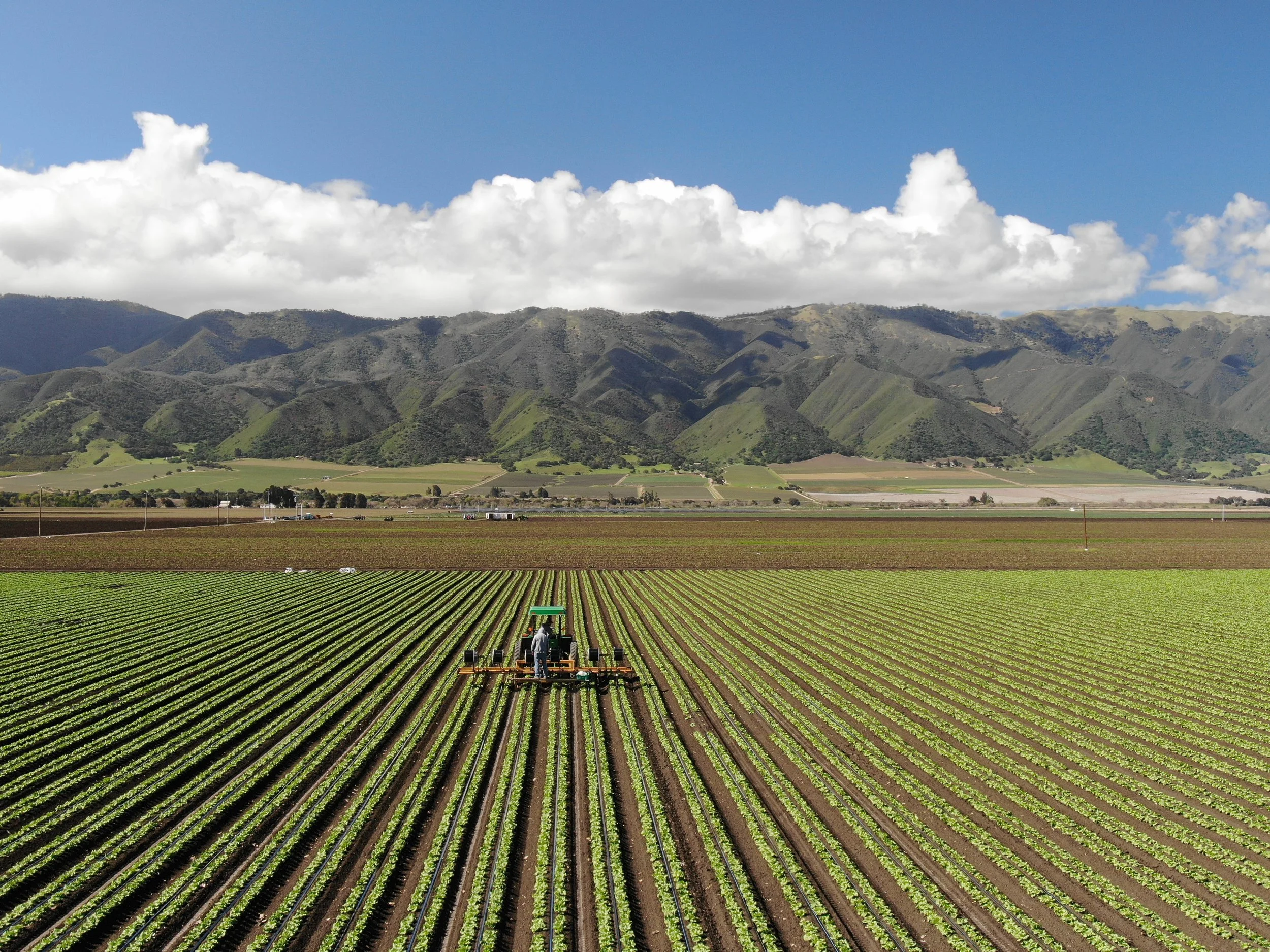 DJI_0405.JPG