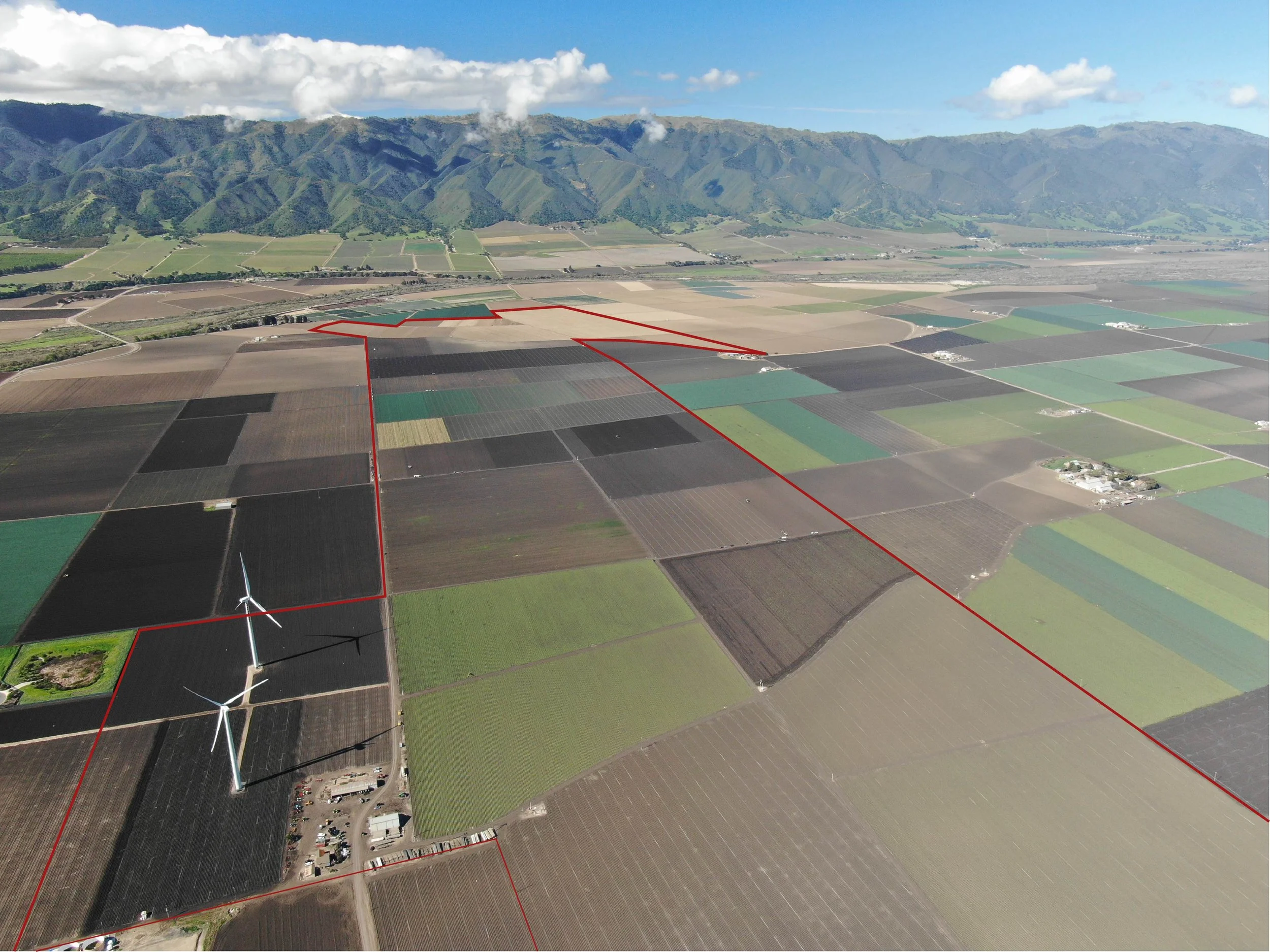 DJI_0372_Boundary.jpg