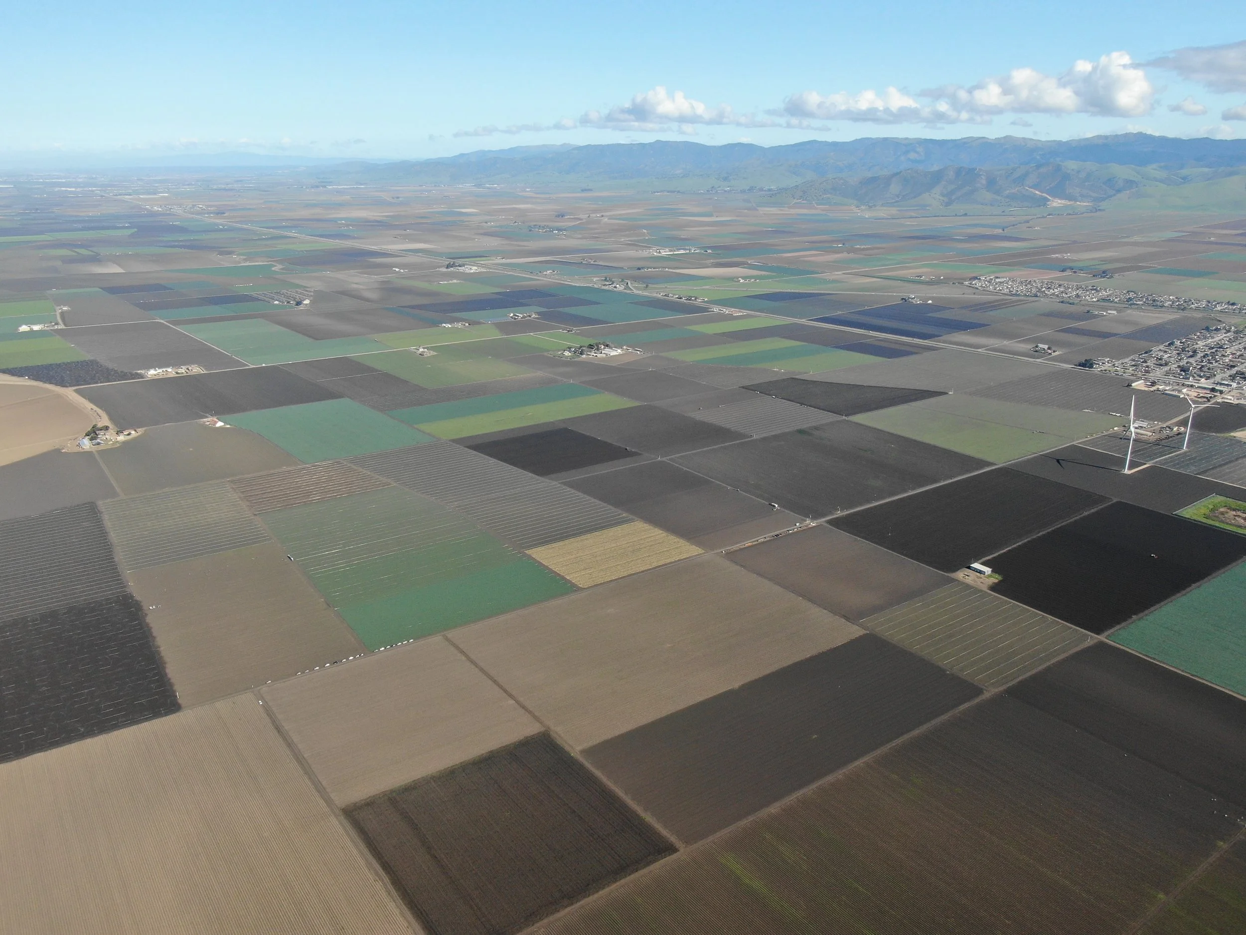 DJI_0381.JPG