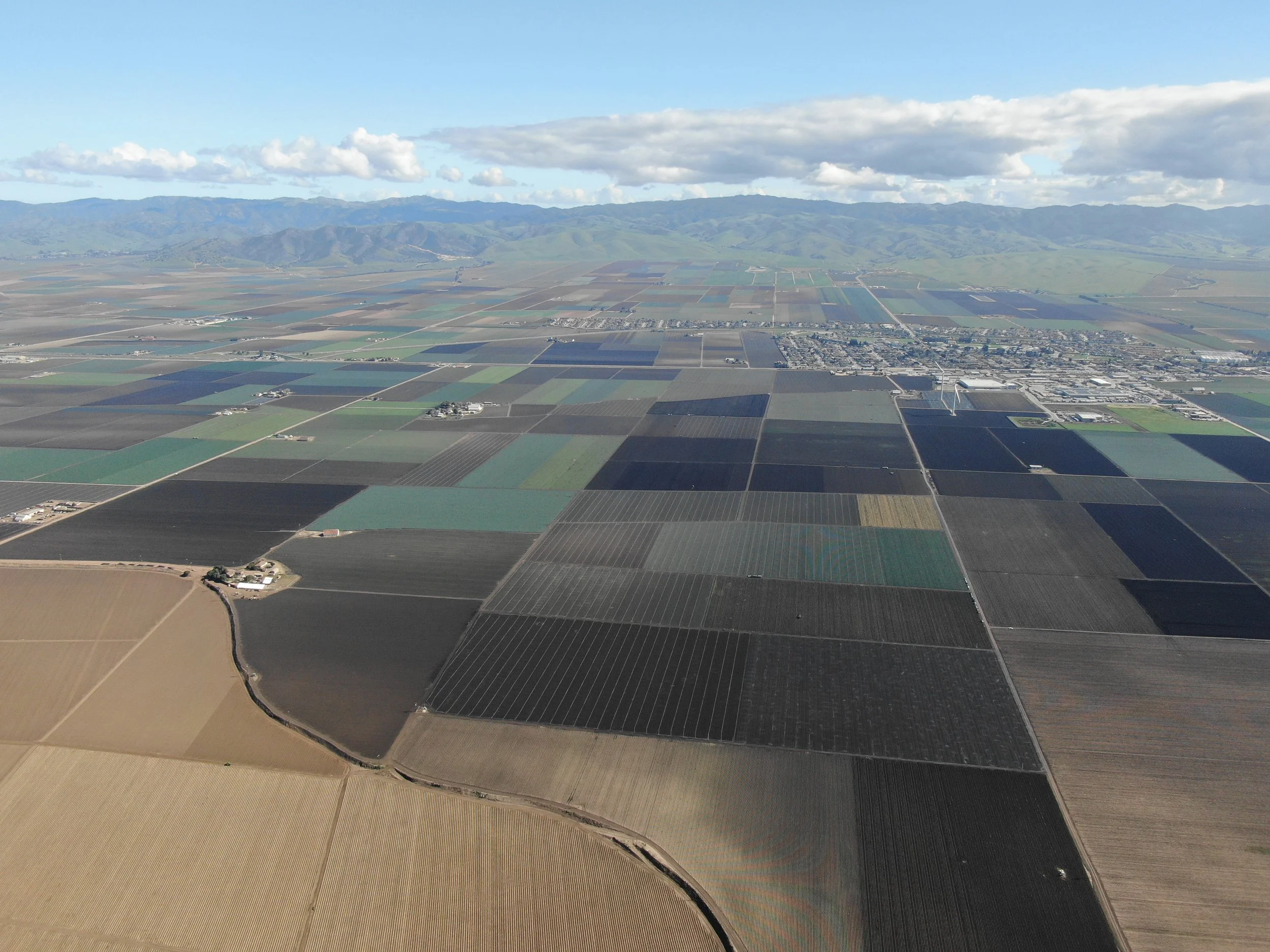 DJI_0384.JPG
