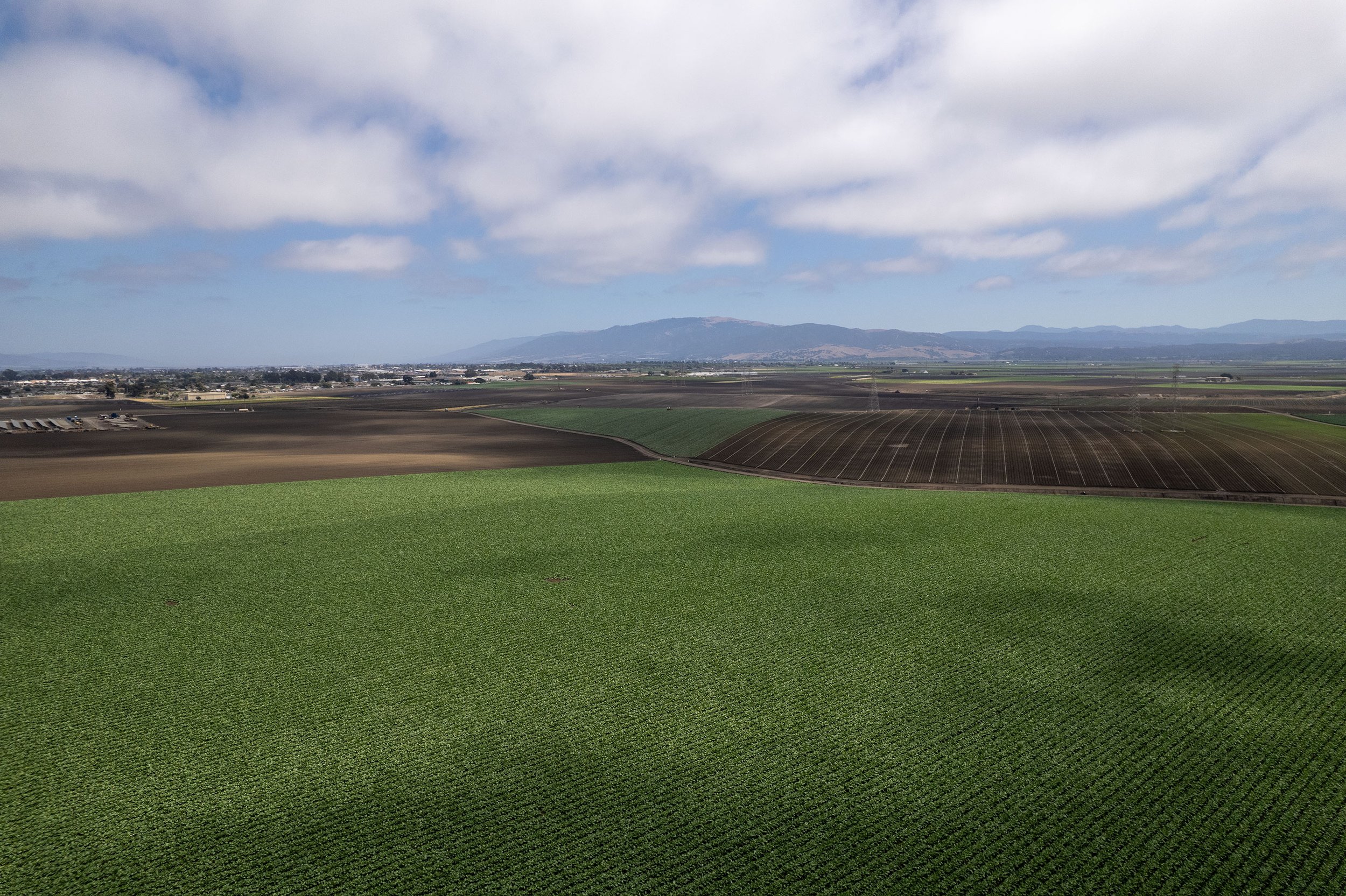 DJI_0472.jpg