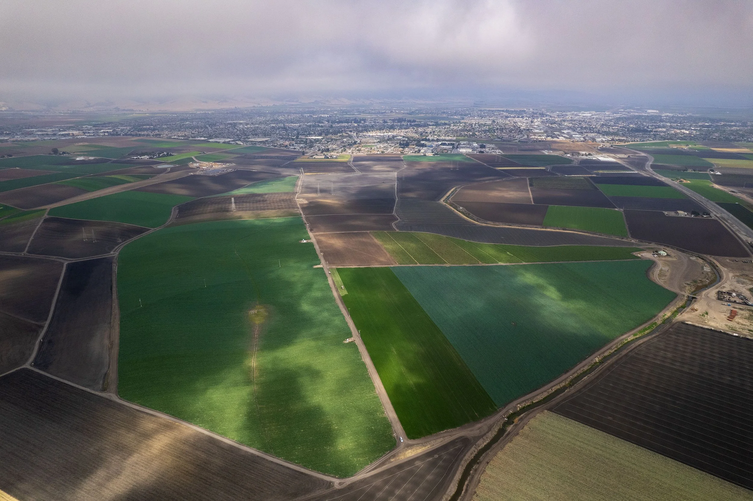DJI_0499.jpg