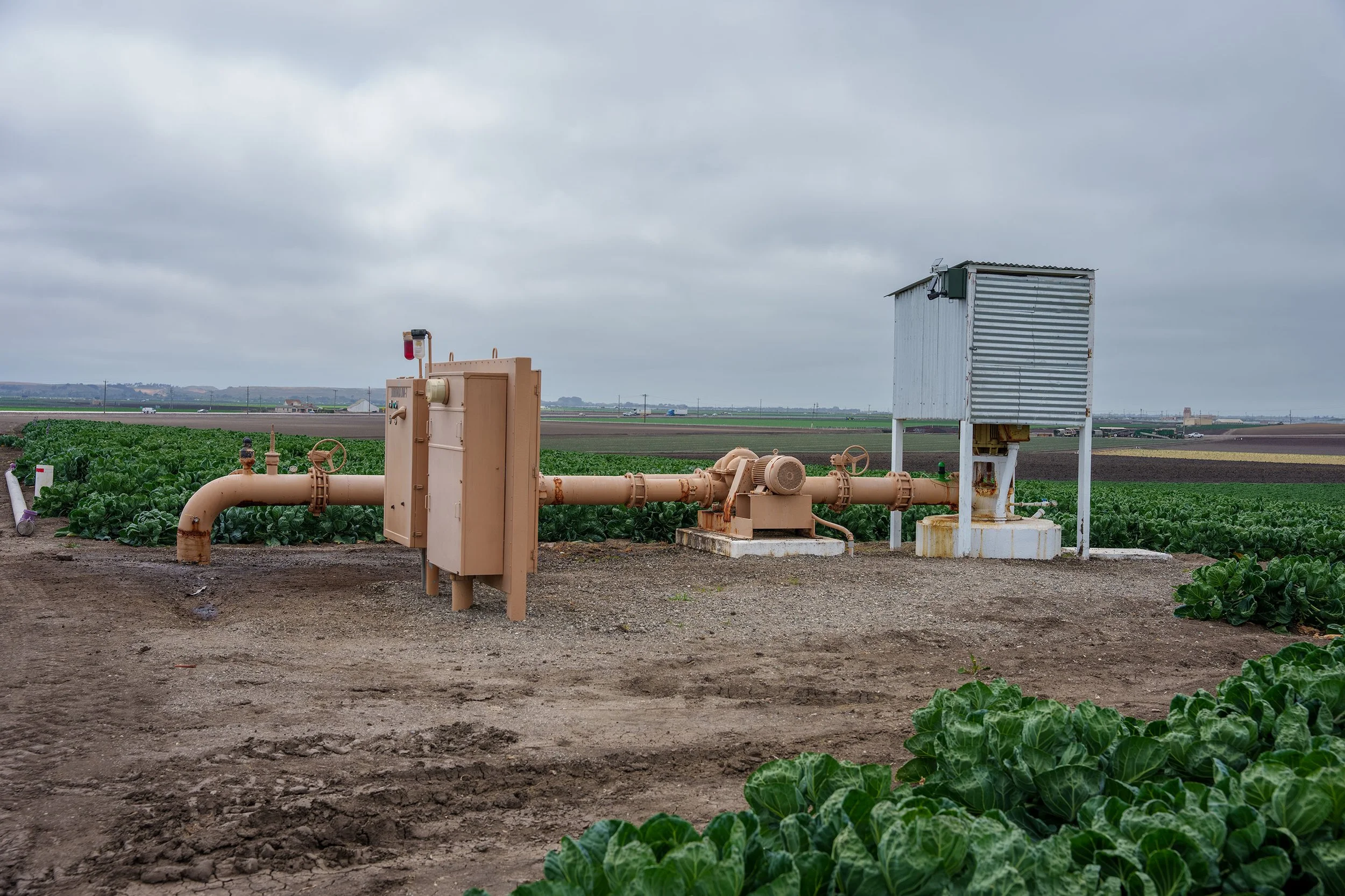 DSC09272.jpg