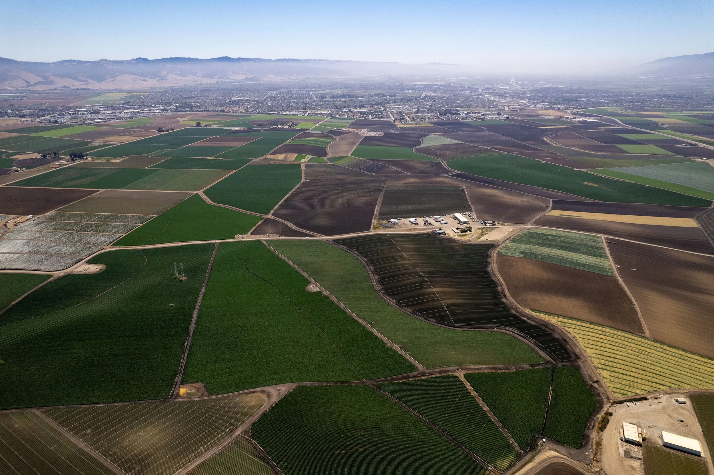 DJI_0567.jpg
