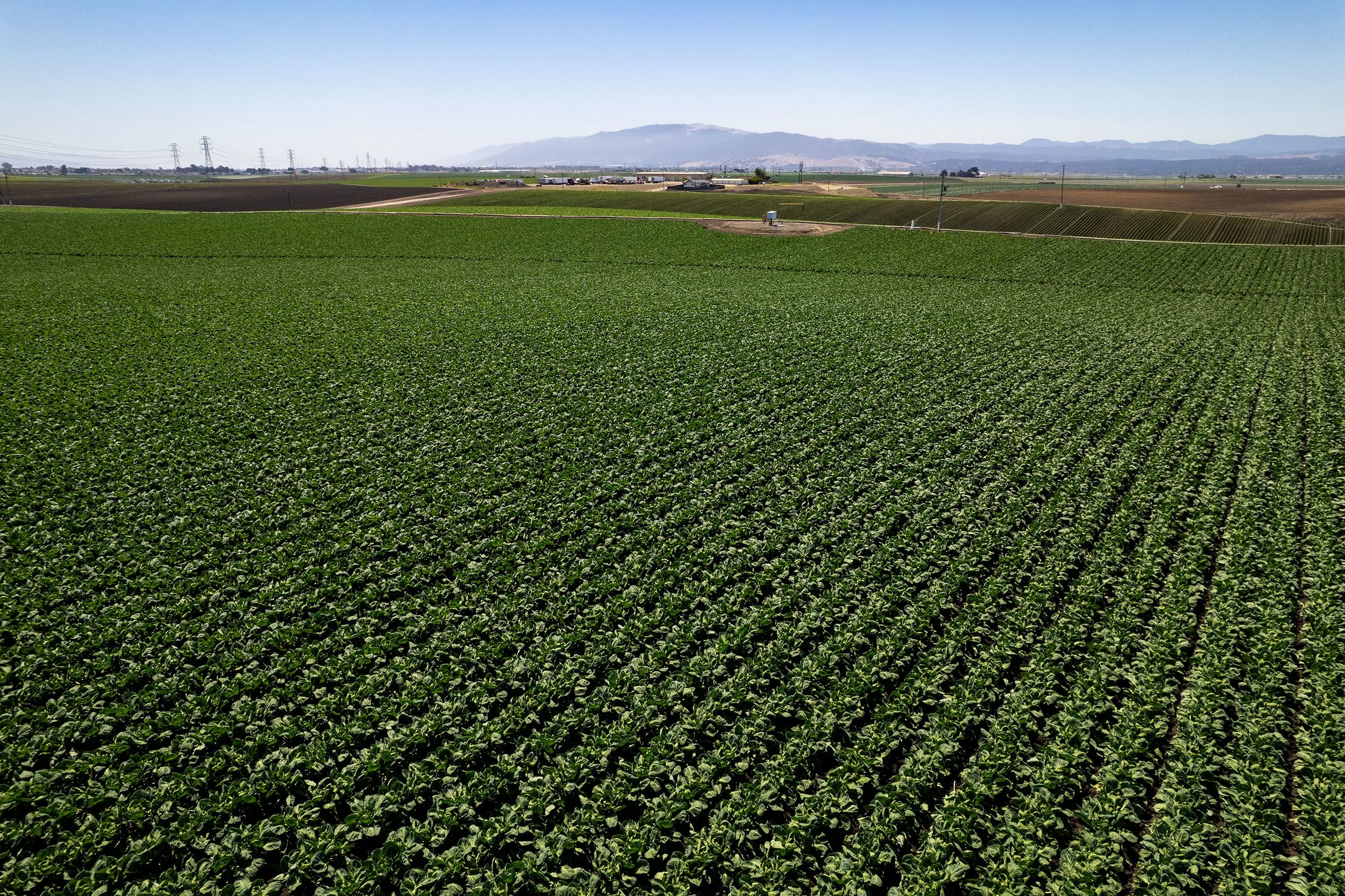 DJI_0569.jpg