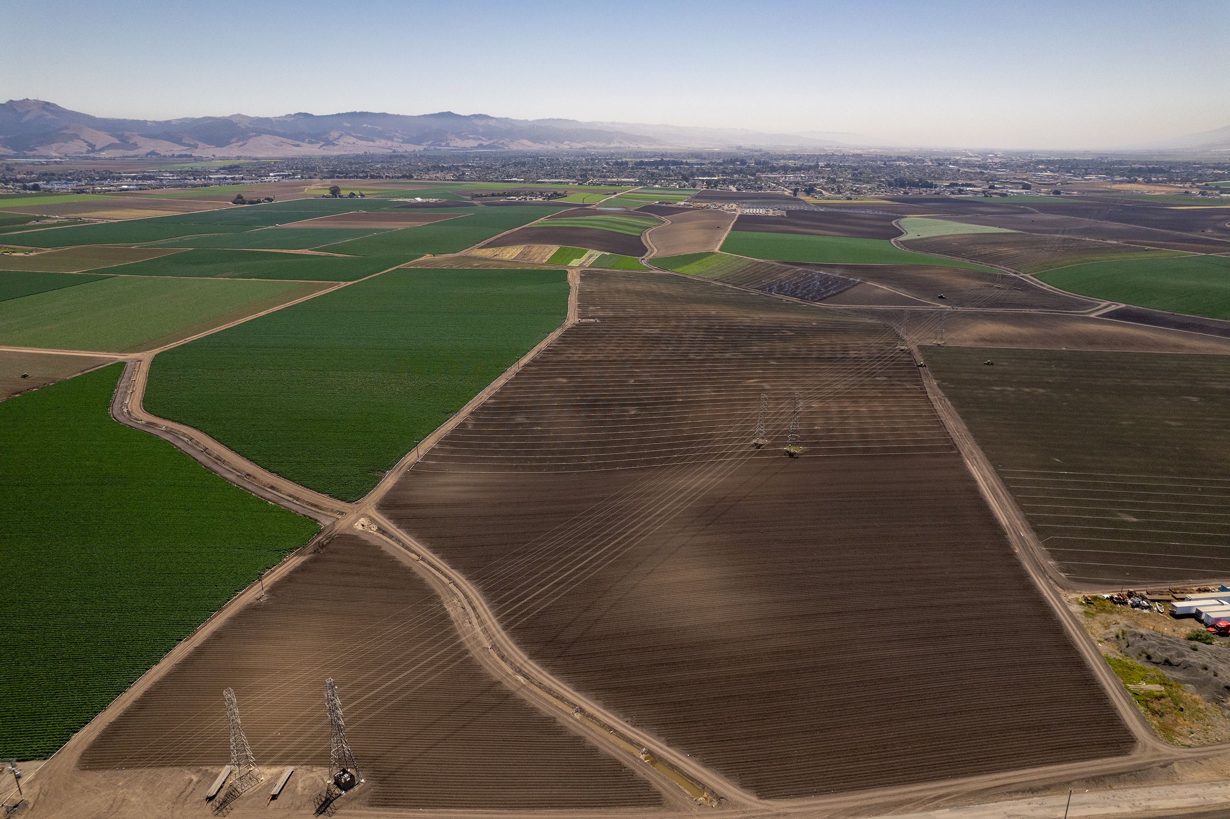 DJI_0594.jpg
