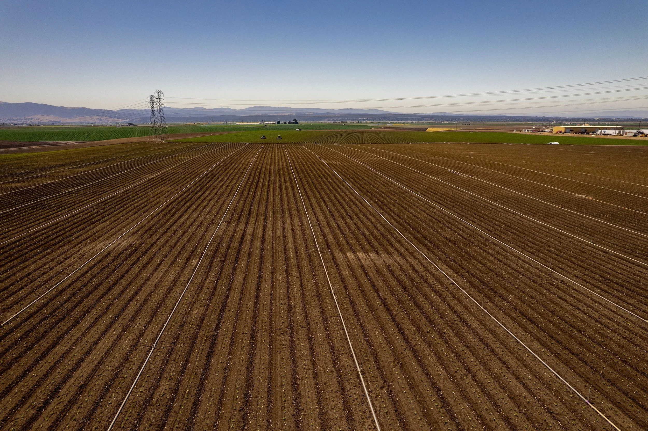 DJI_0607.jpg