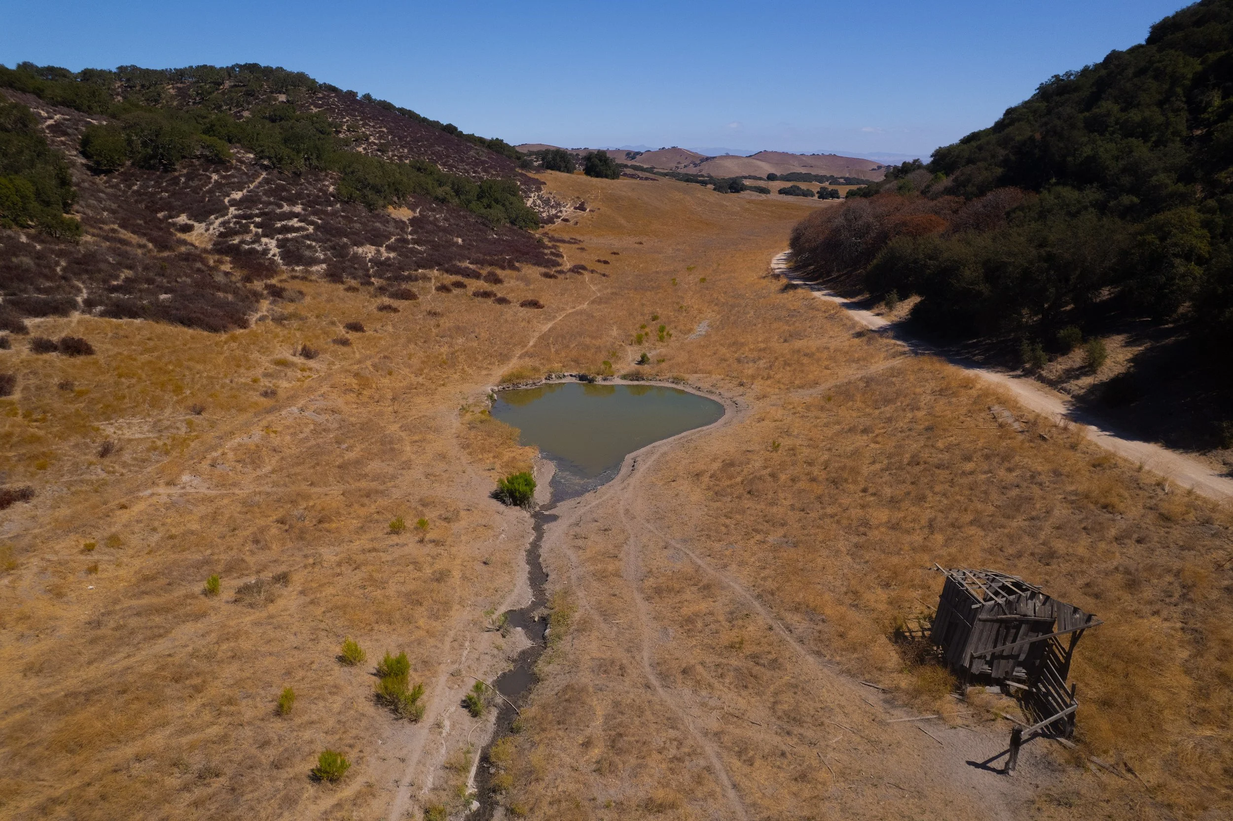 DJI_0808.jpg