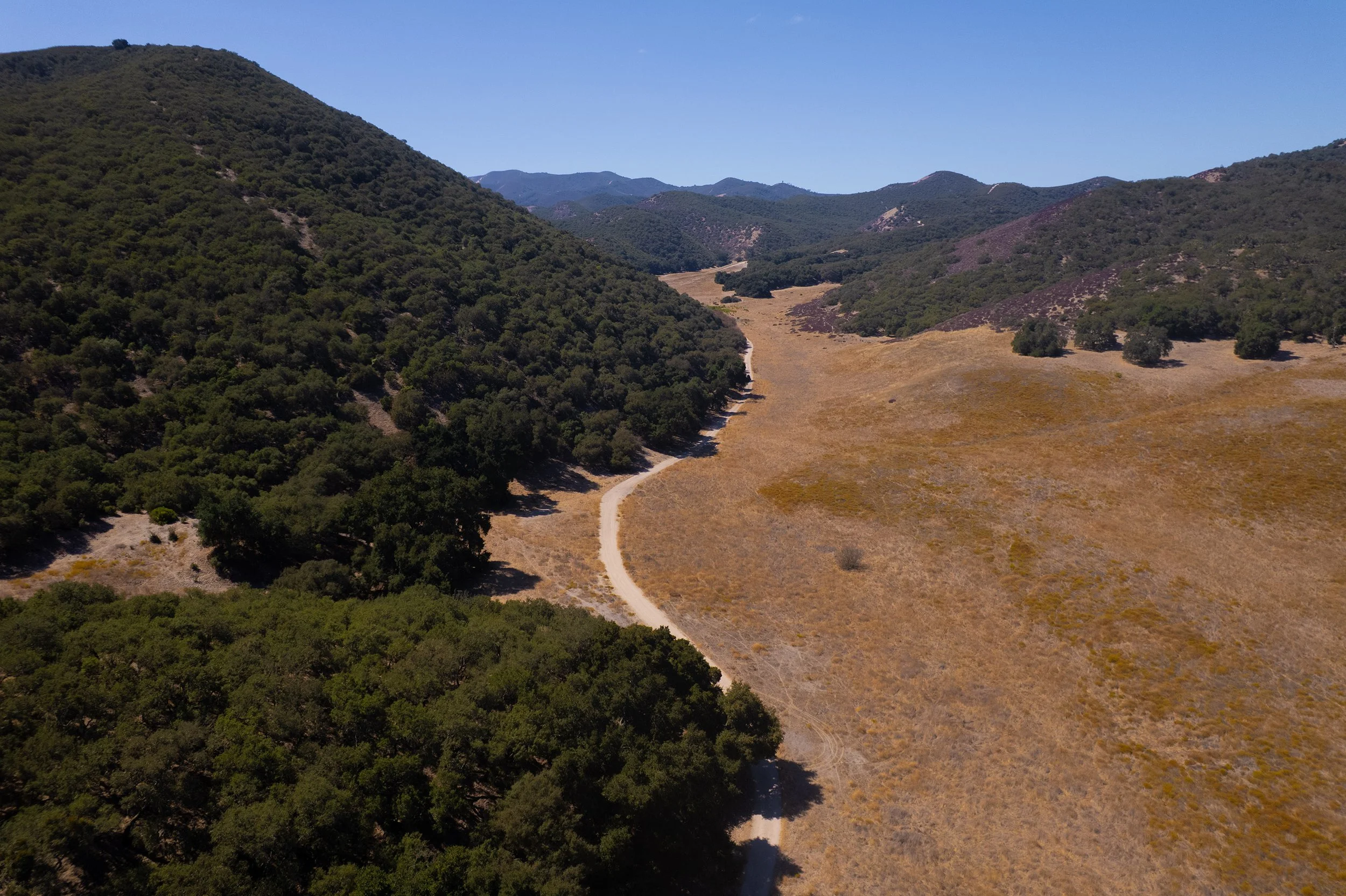 DJI_0830.jpg