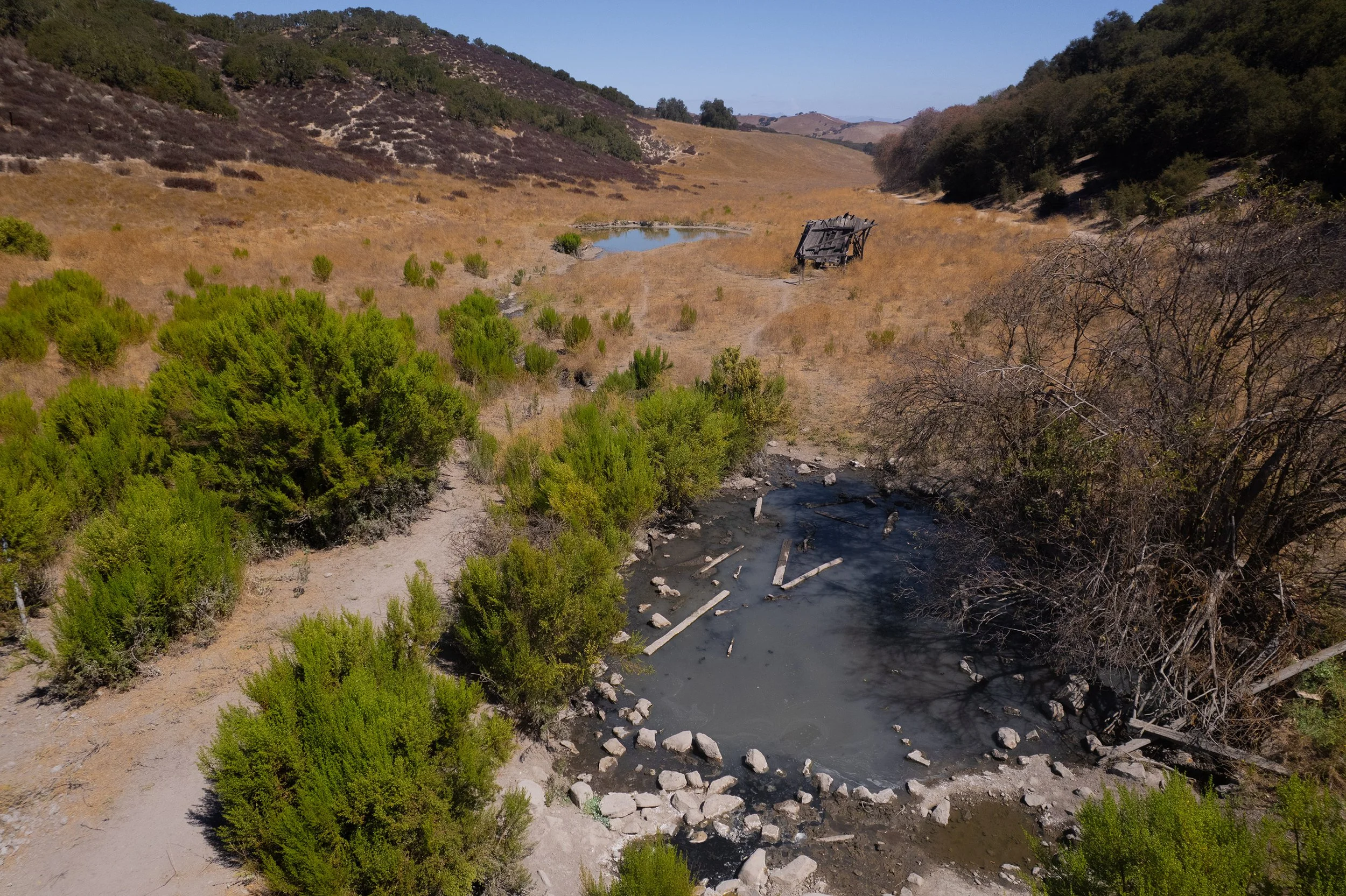 DJI_0838.jpg