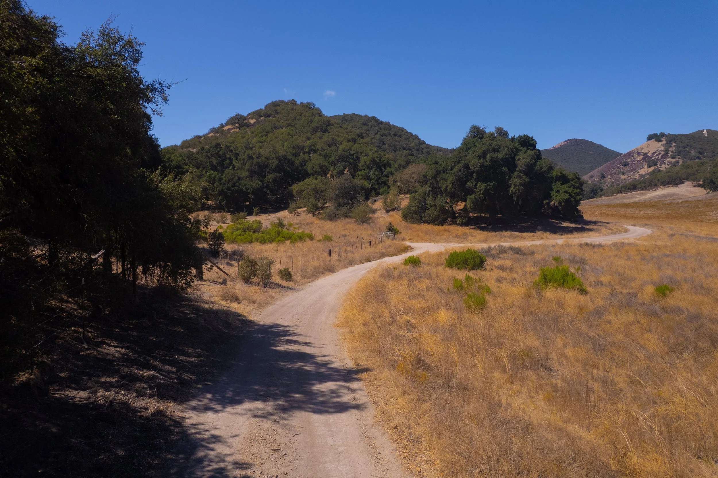 DJI_0791.jpg