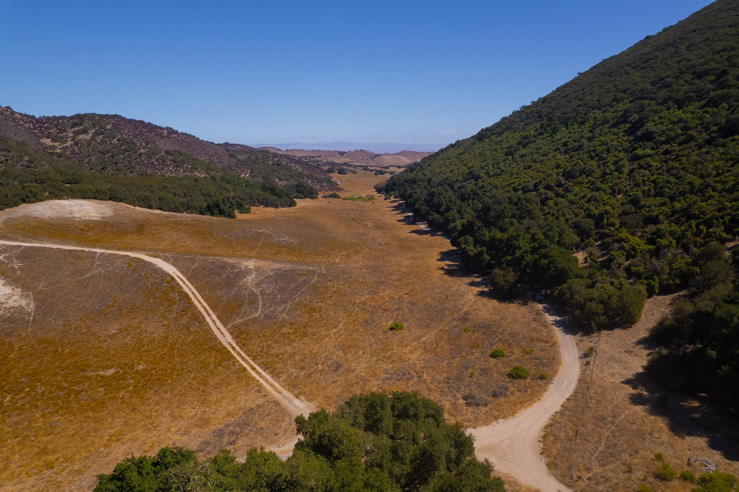 DJI_0793.jpg