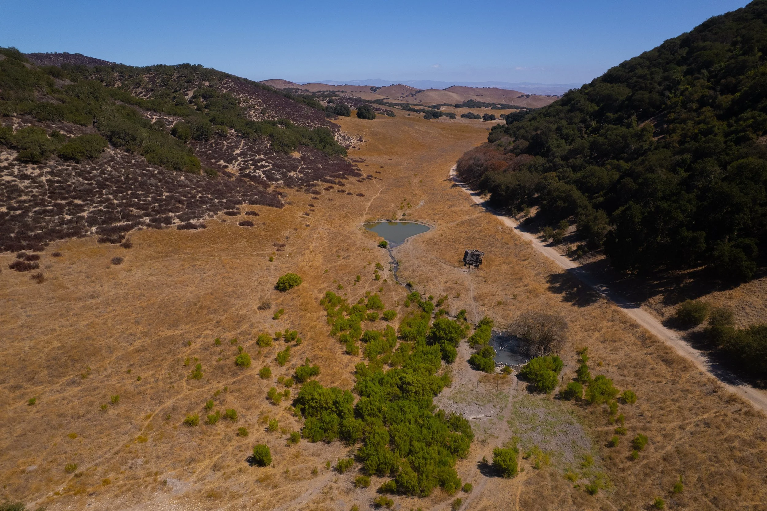 DJI_0807.jpg