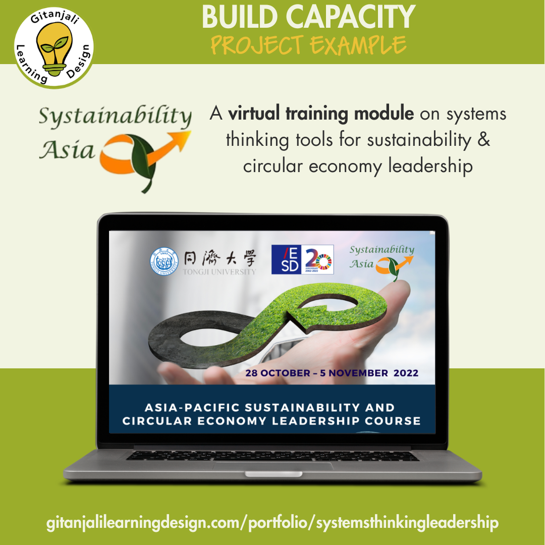 Systems Thinking Leadership Module