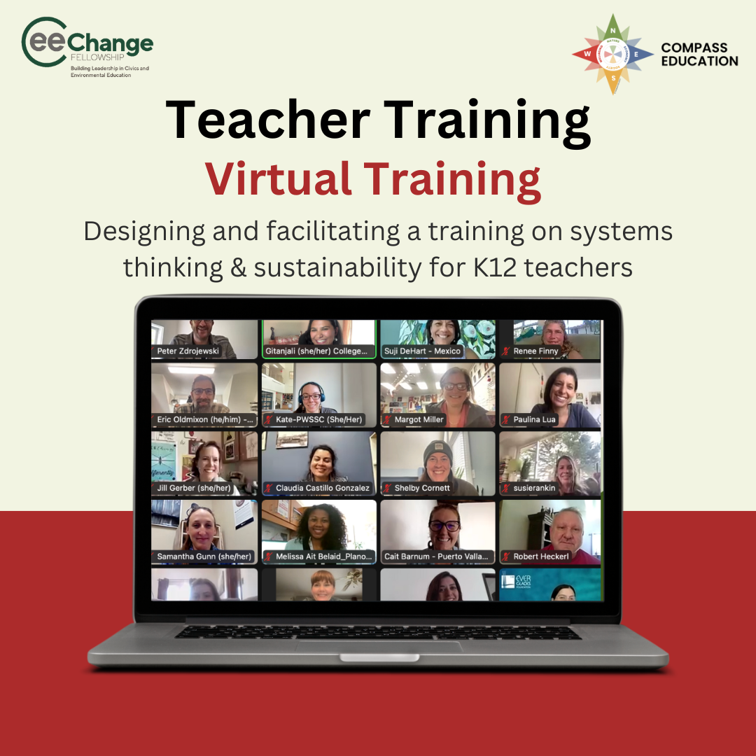 Systems Thinking Teacher Training