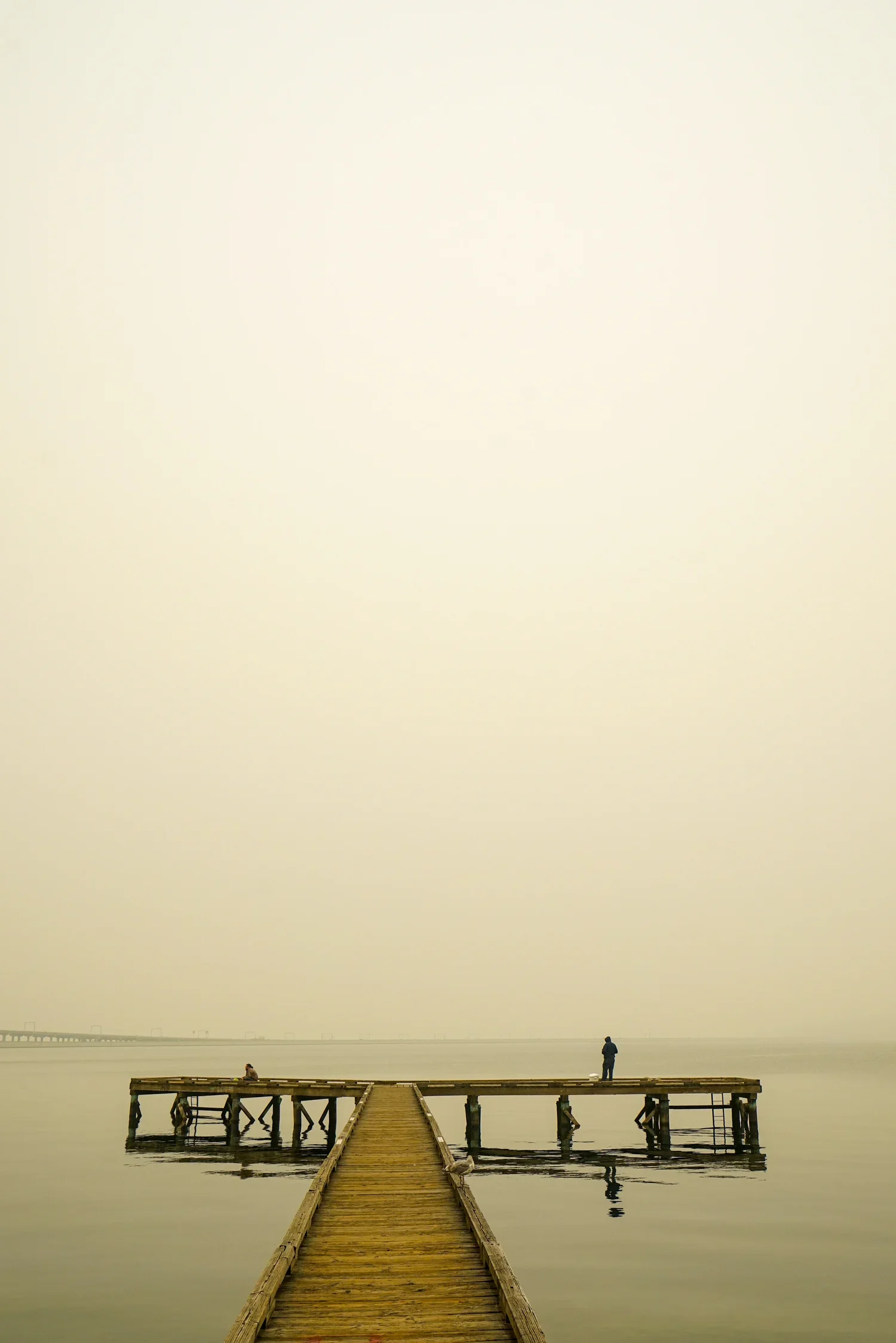 DSC04979.JPG.webp