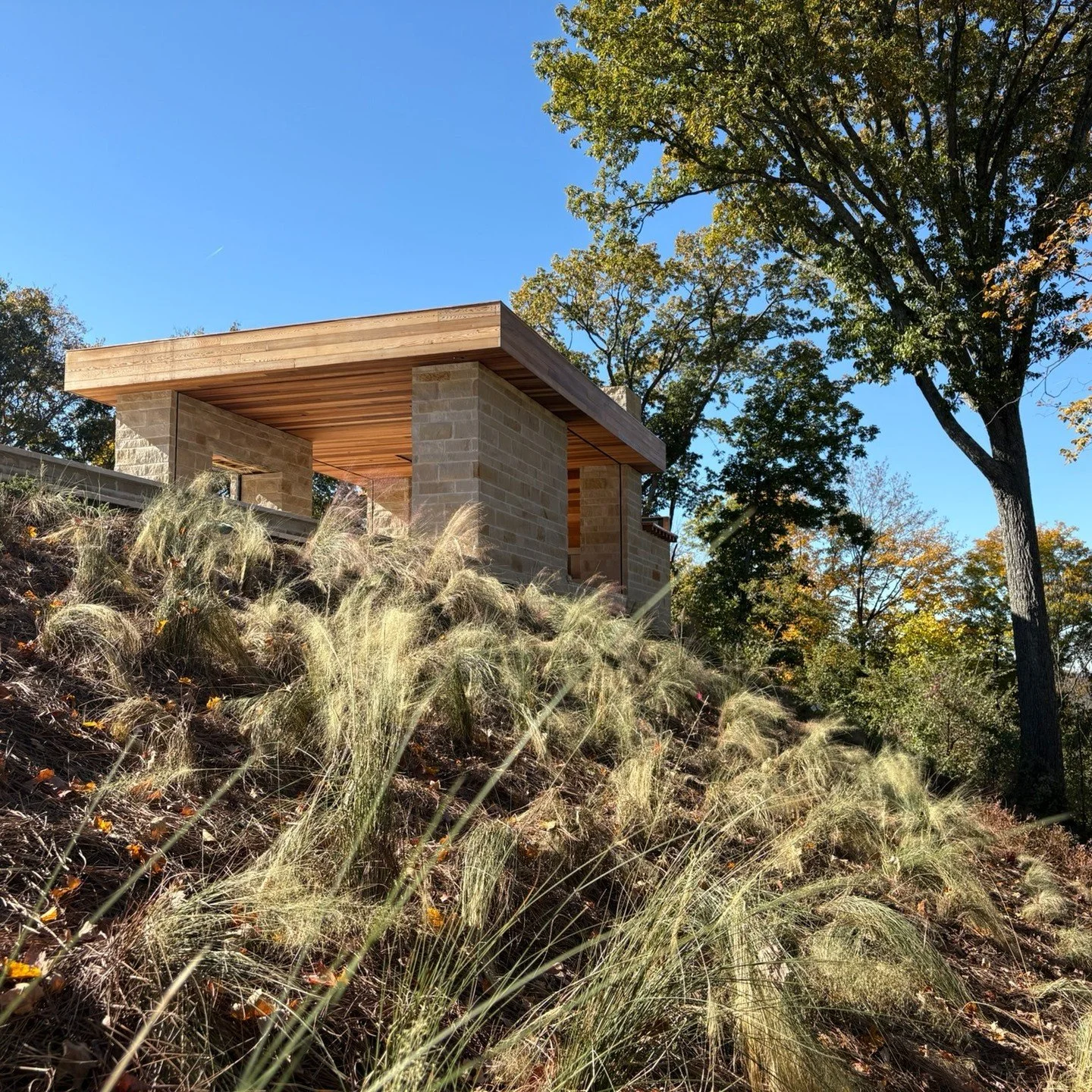 Teasing a ridge-top Forest Hills property coming online soon. 

More and more we find ourselves contract growing native herbaceous groundcover for cost effective beauty and function. 

Here we use a plant matrix with tall and low growing varieties an