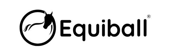 Equiball_1.1.png