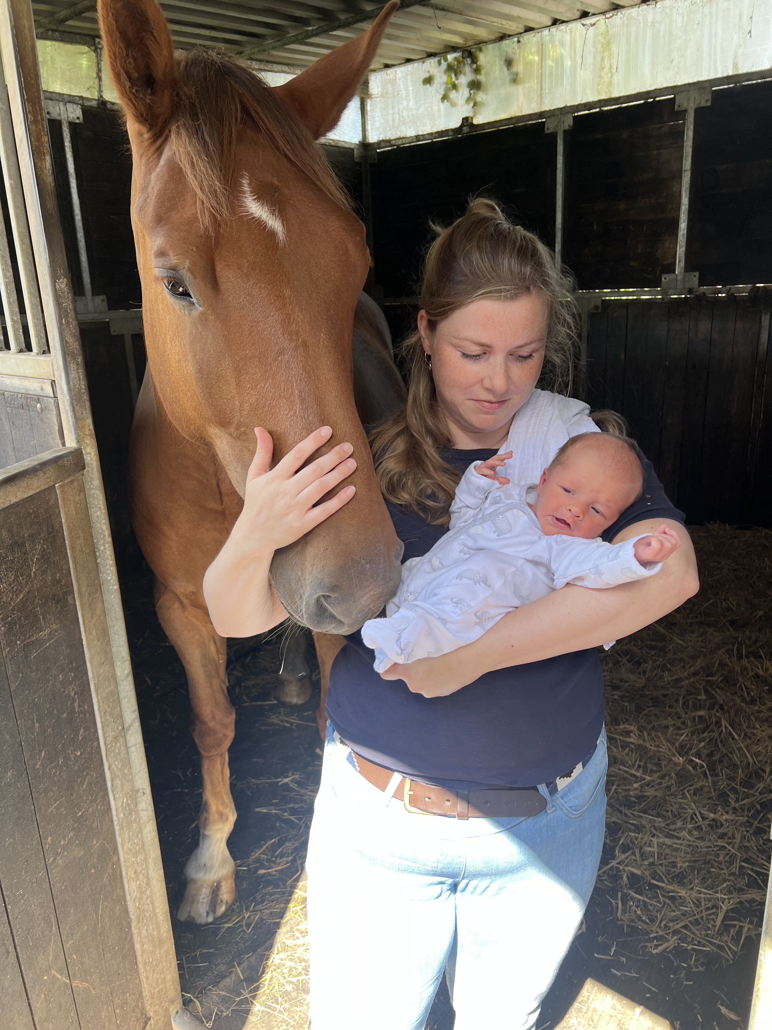 Why Equestrian Sport Needs to Take Matrescence Seriously