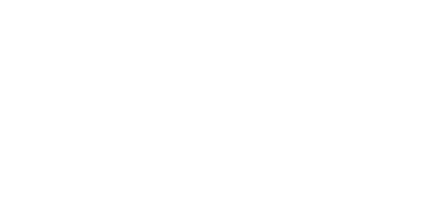 EQuiball.png