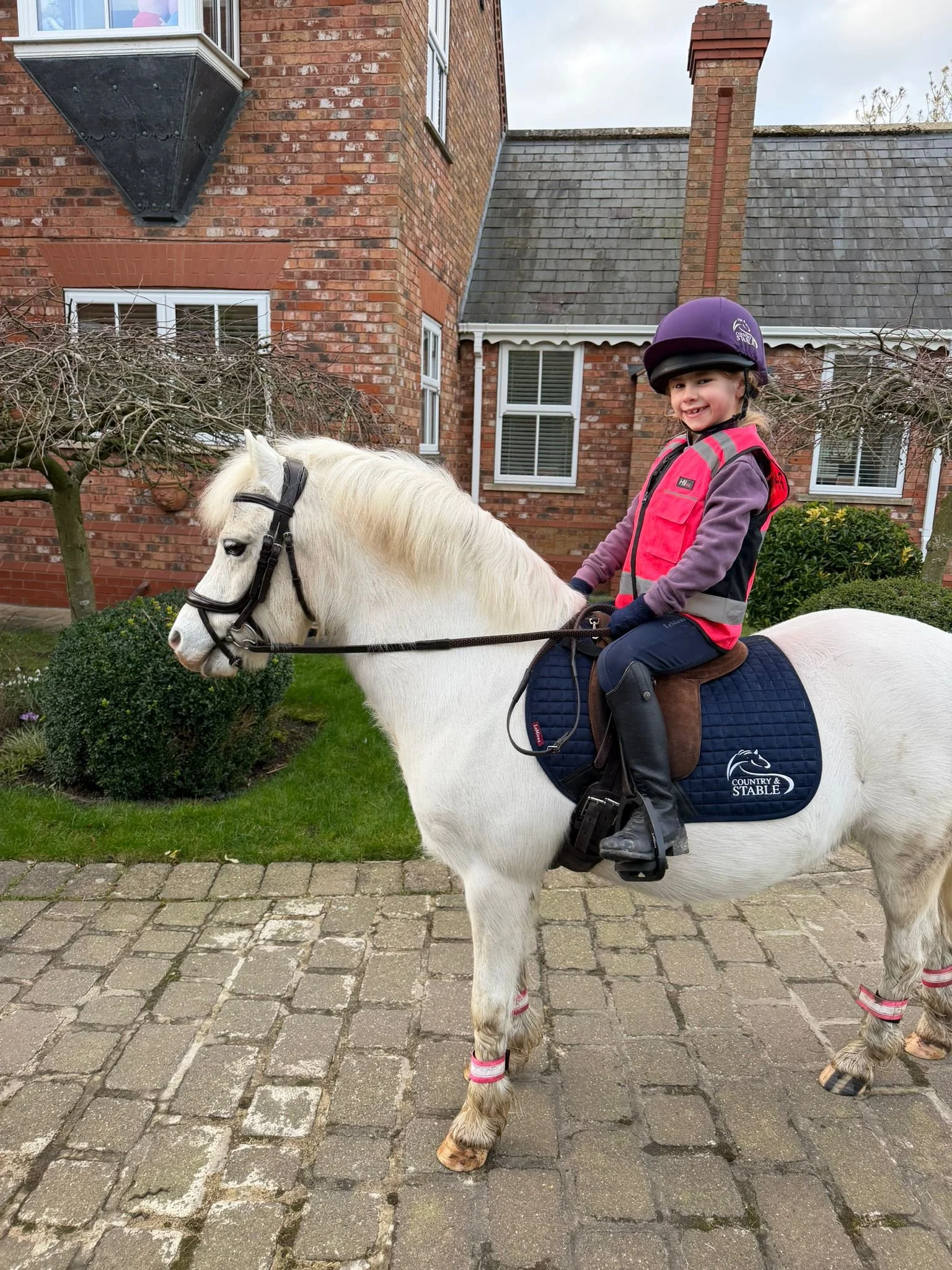 WhatsApp Image 2026-02-24 at 20.50.47.jpeg