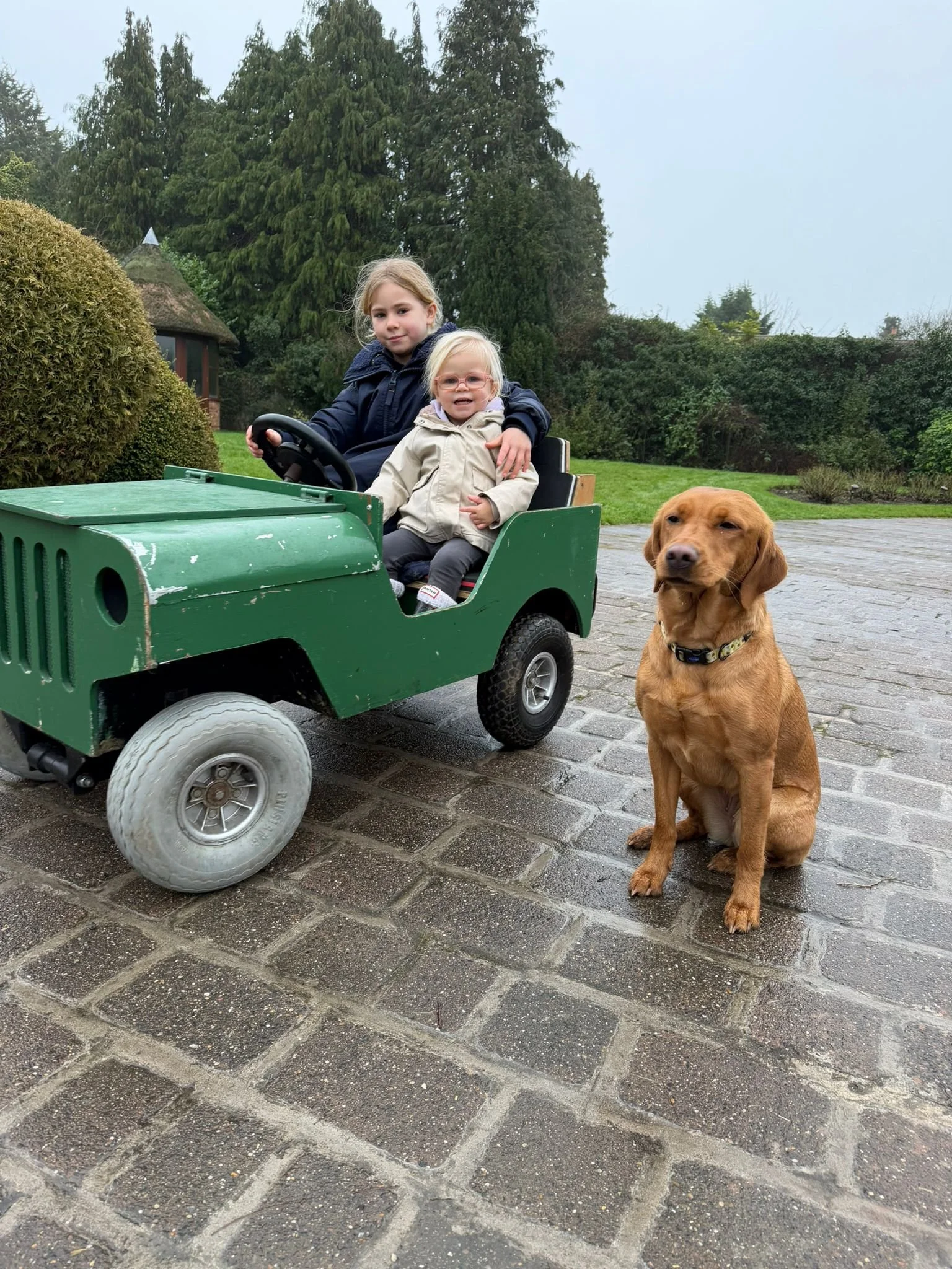 WhatsApp Image 2026-02-24 at 20.50.48 (1).jpeg