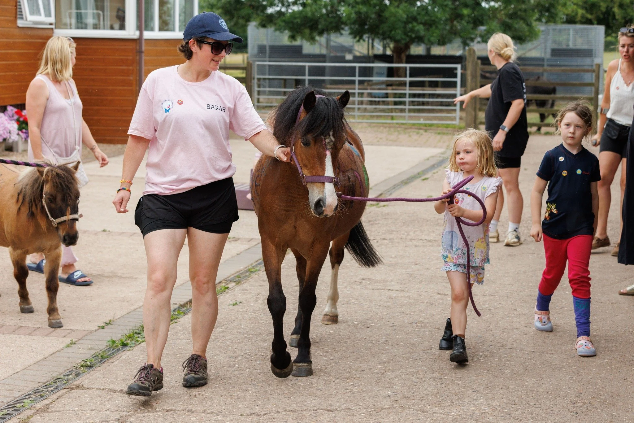 British Equestrian shares The Equestrian Motherhood Census 