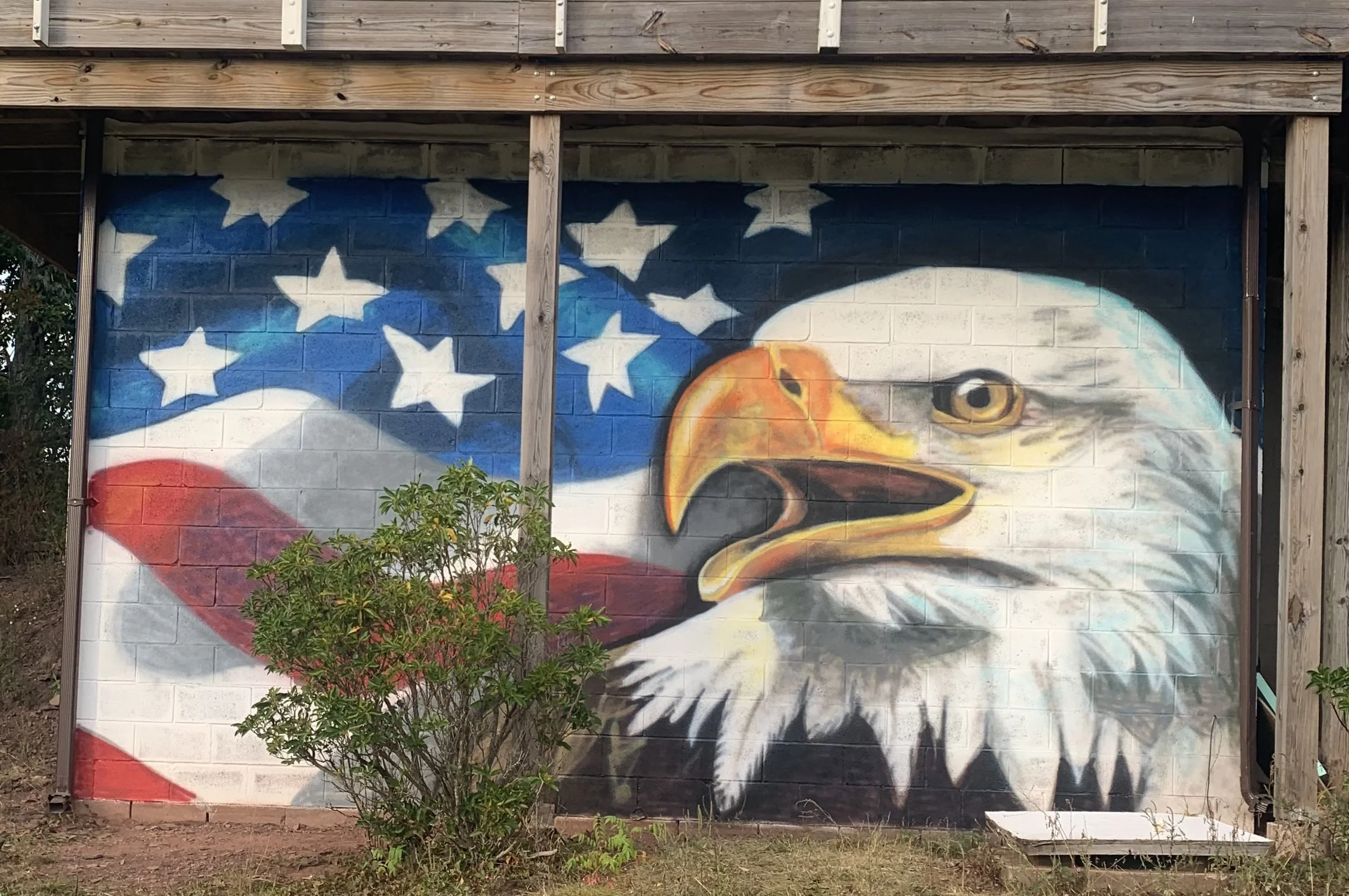 Eagle Mural 2