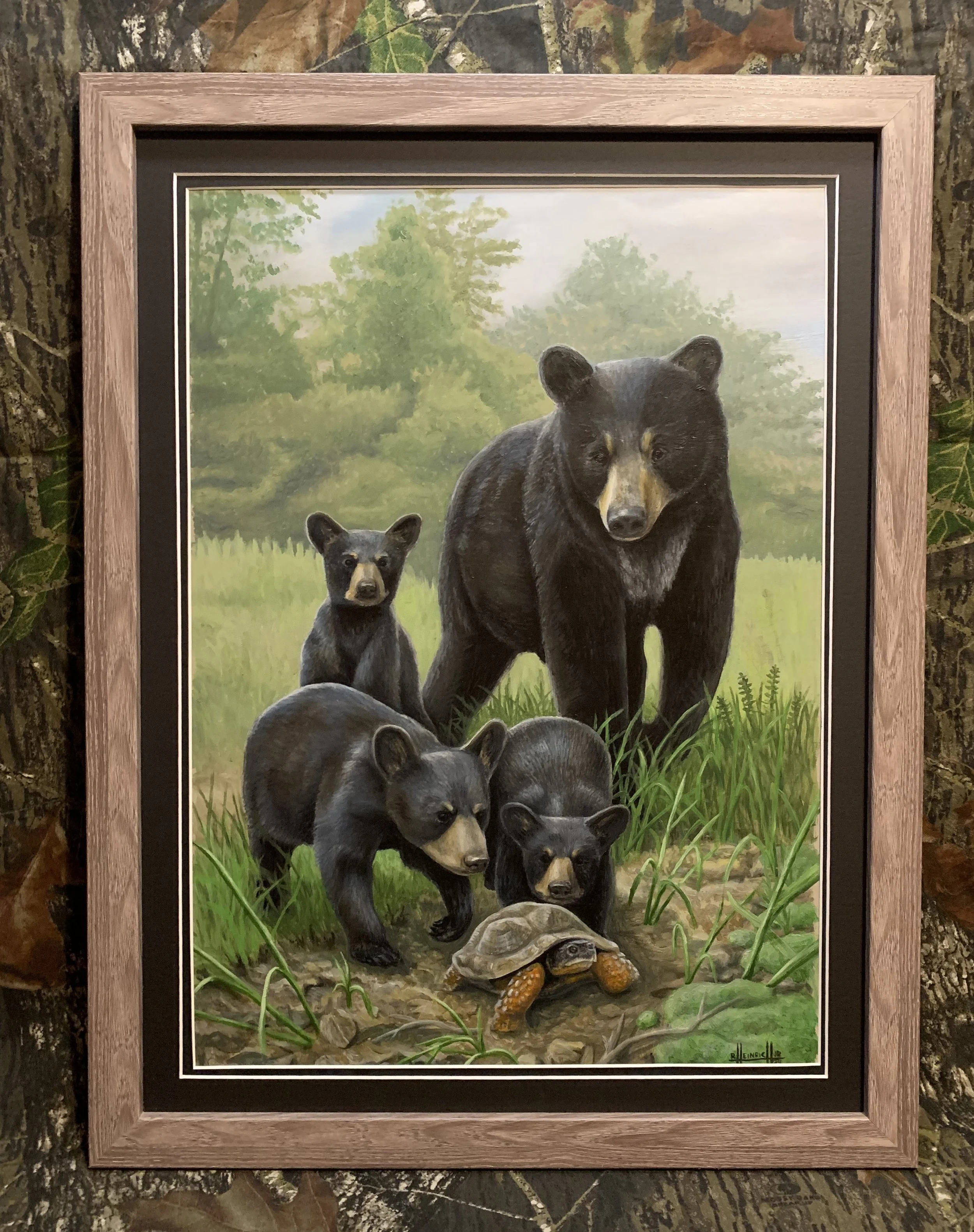Curious Cubs.JPG