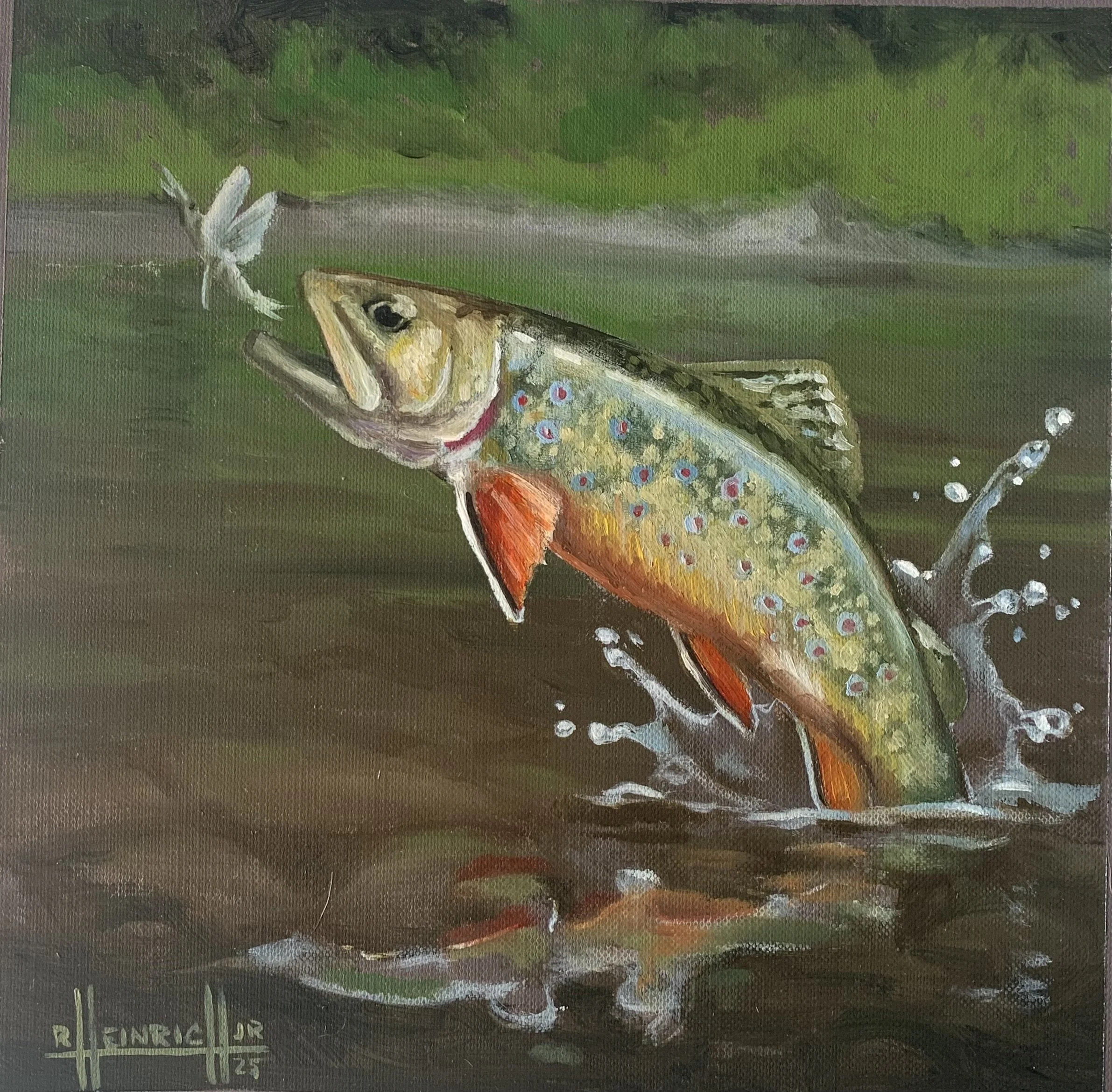 Brook Trout.jpg