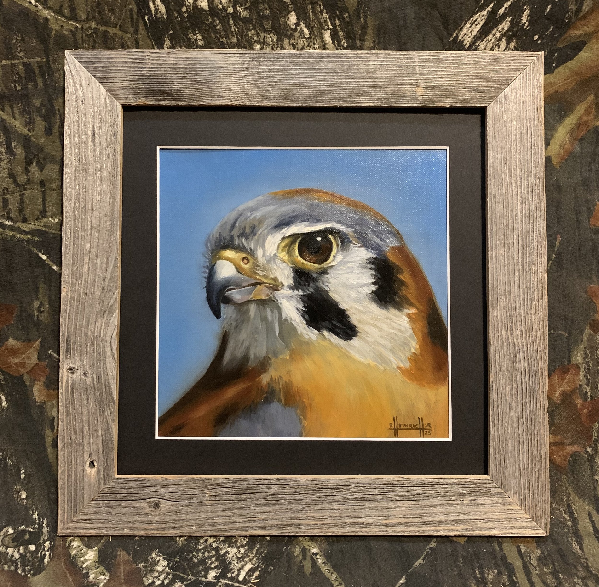 Kestrel.JPG