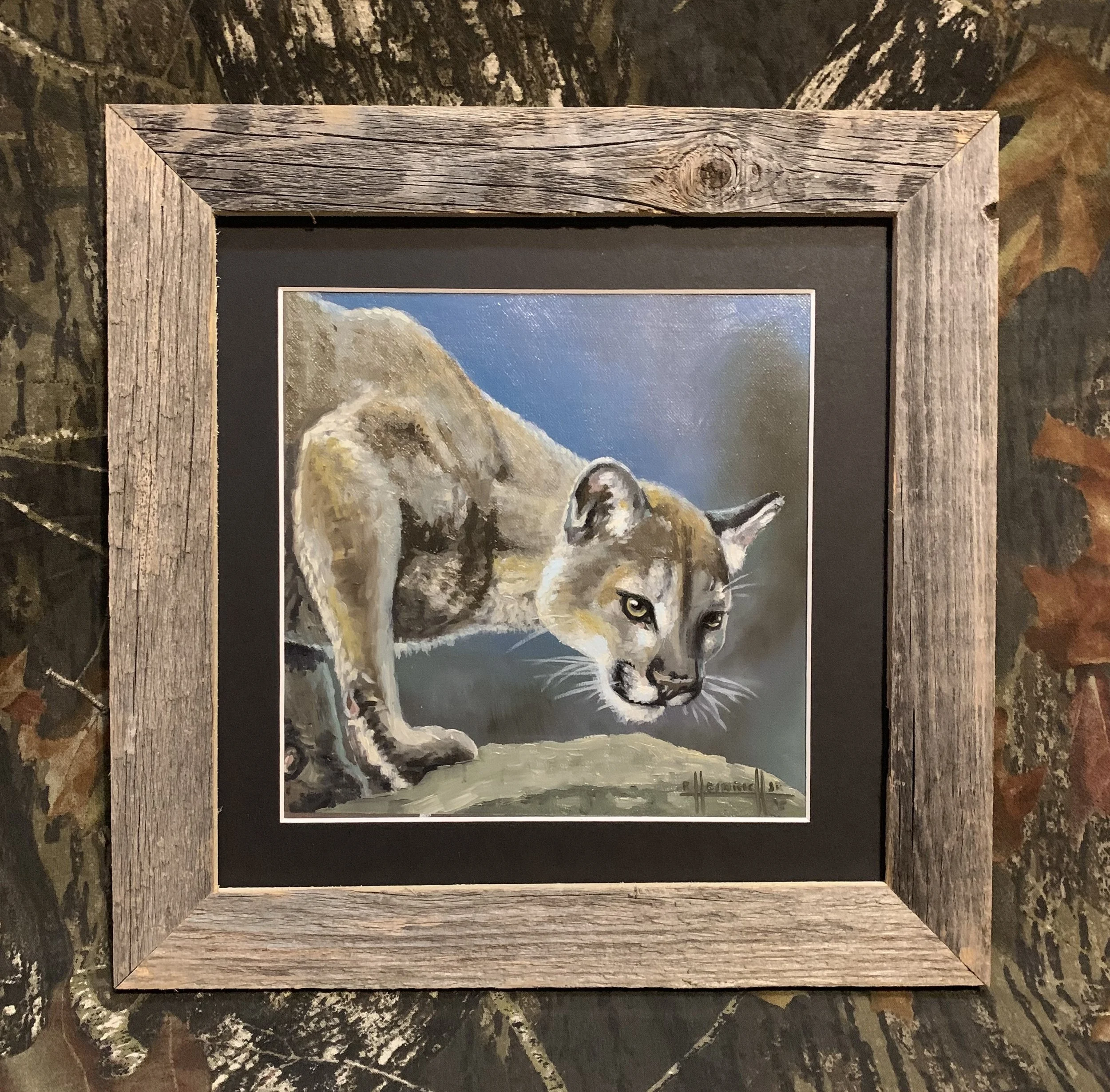Mountain Lion.JPG