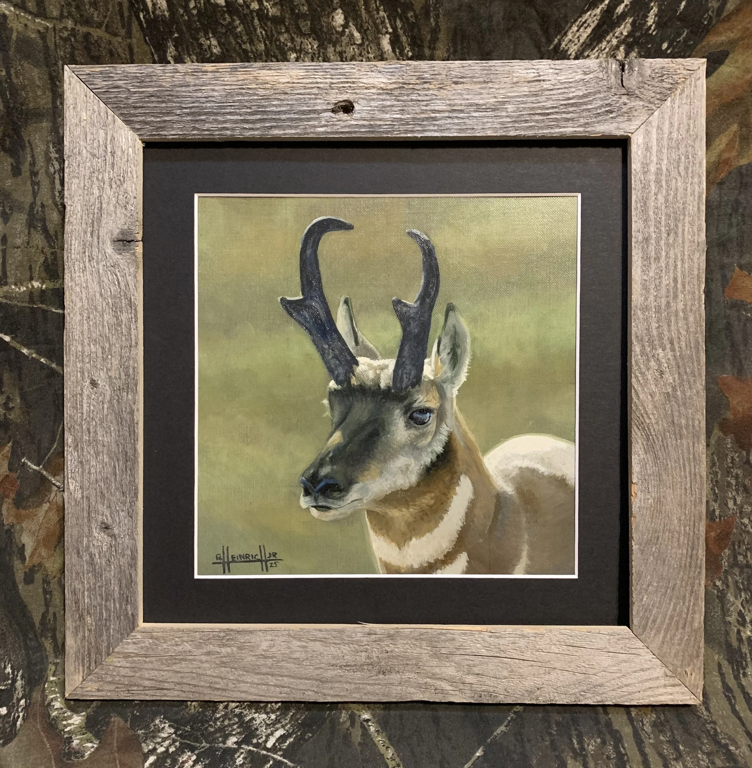 Pronghorn.JPG