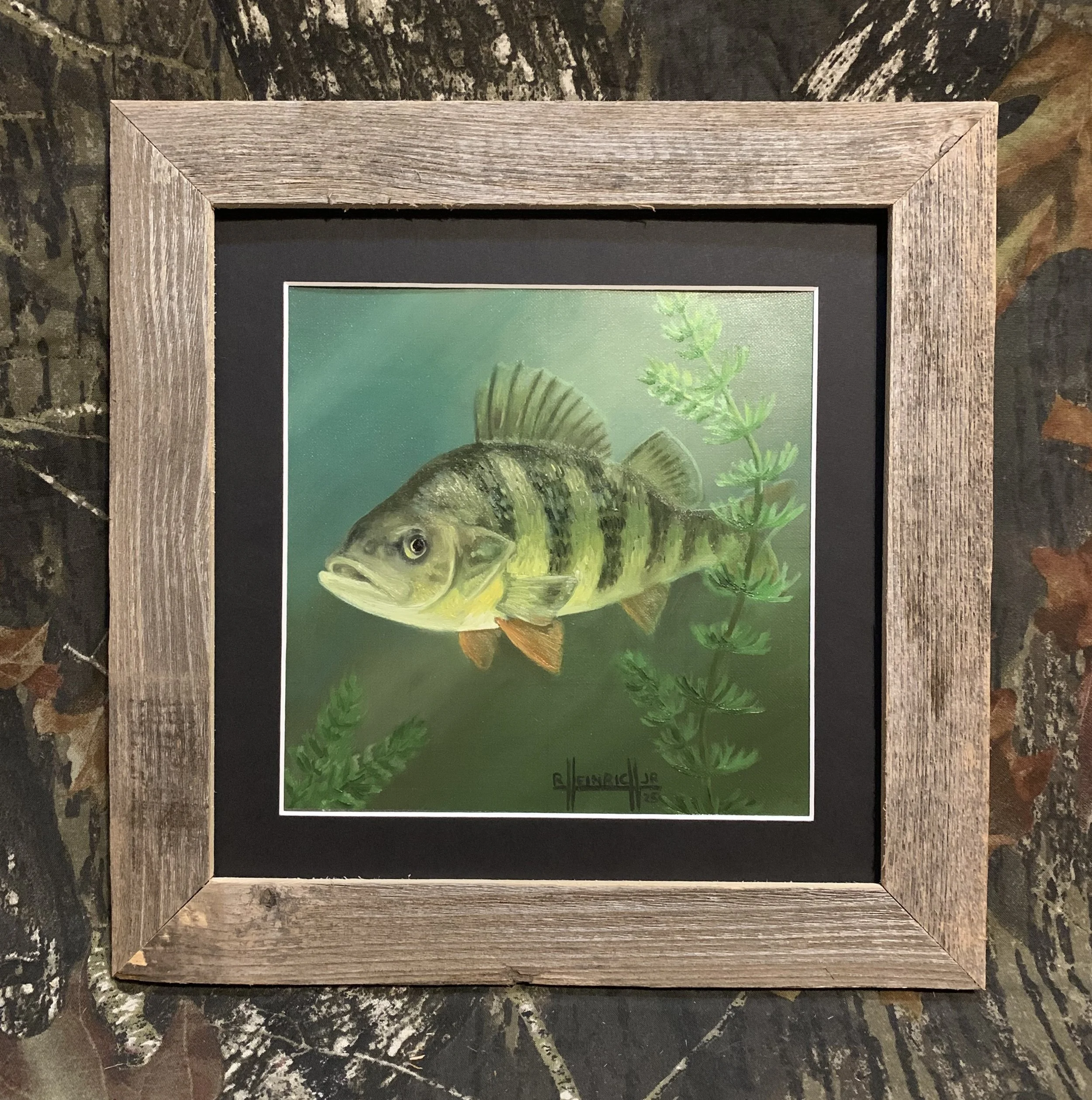 Yellow Perch.JPG