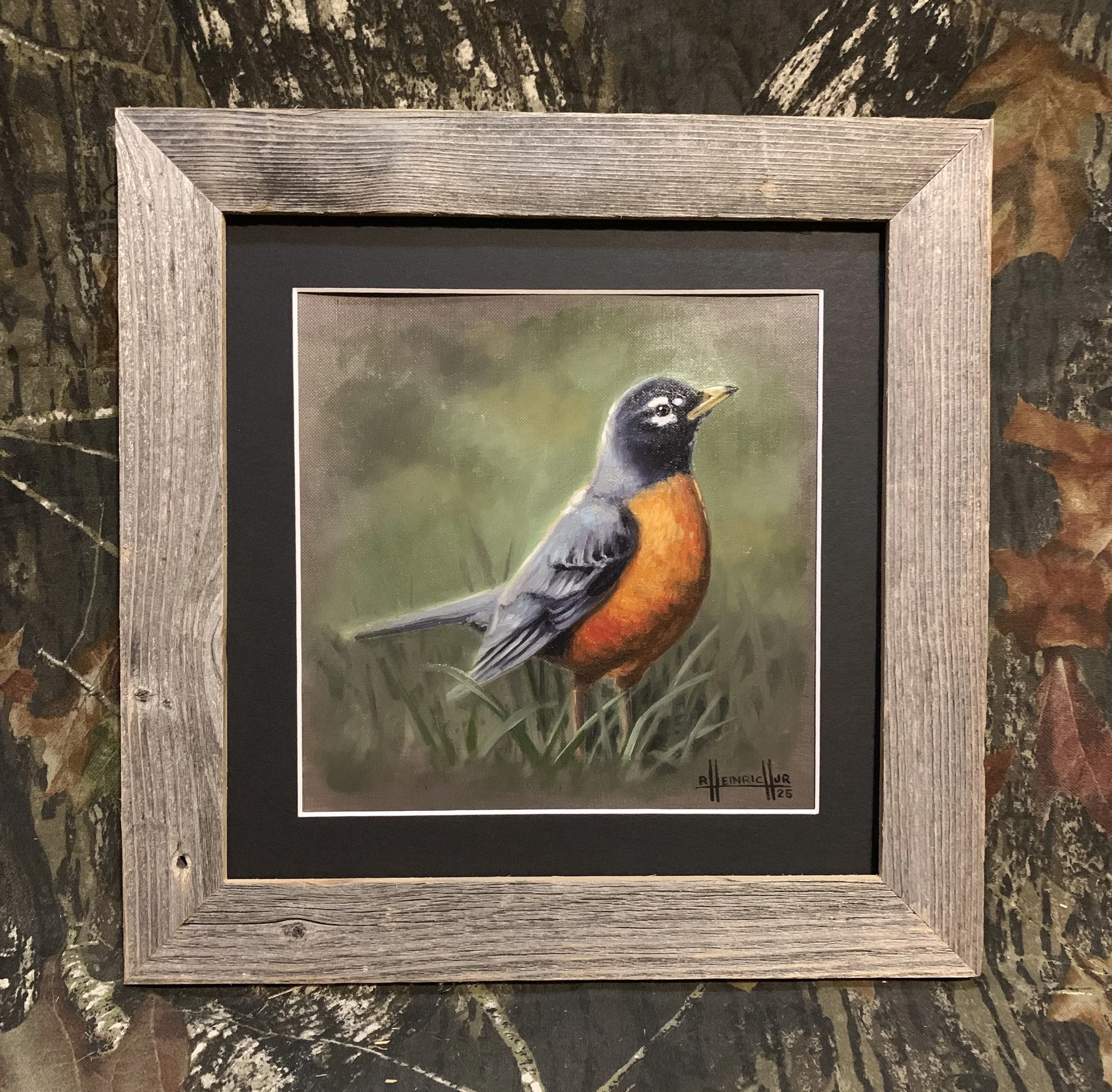 Robin.JPG