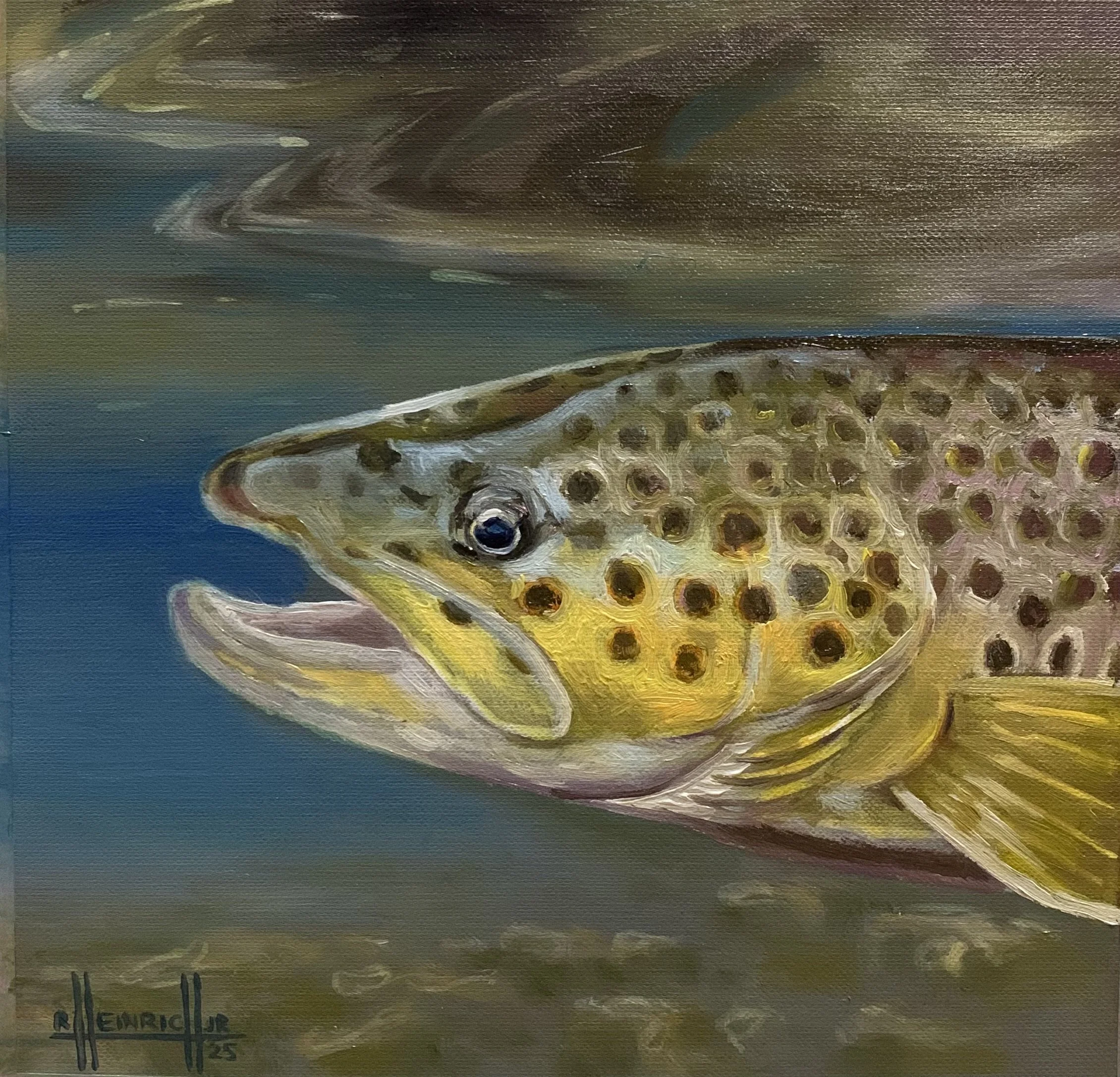 Brown Trout