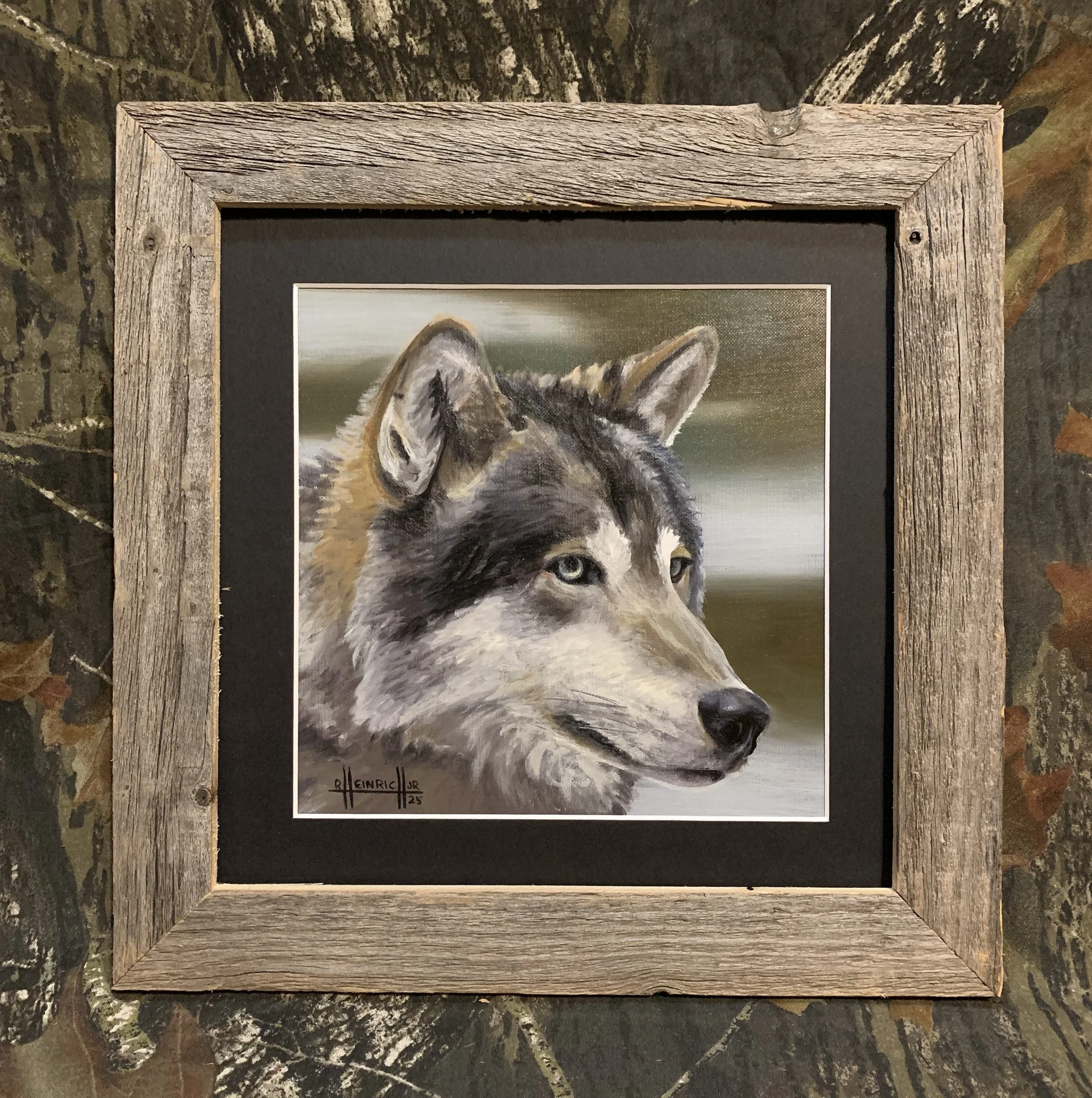 Gray Wolf.JPG
