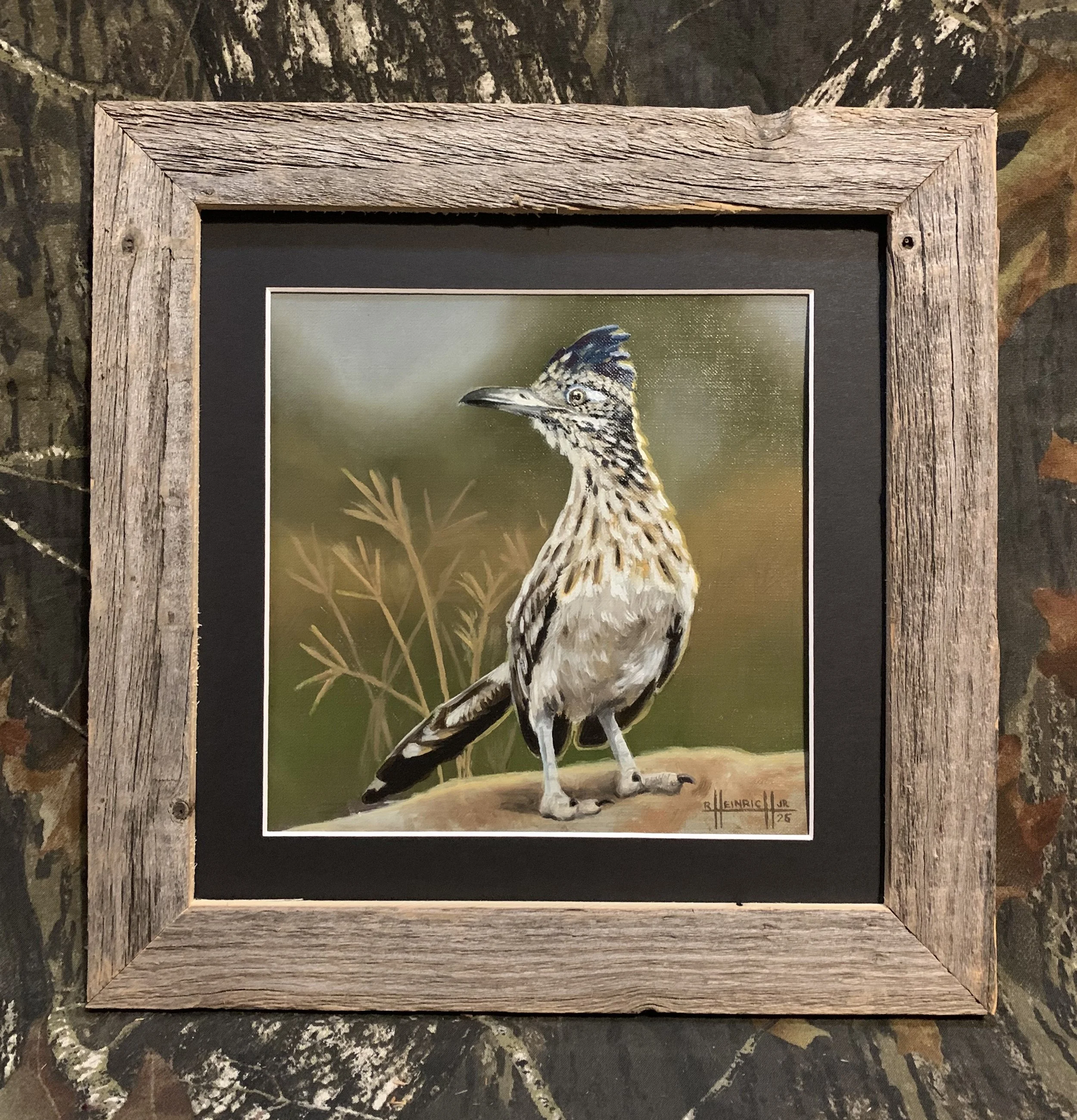 Road Runner.JPG