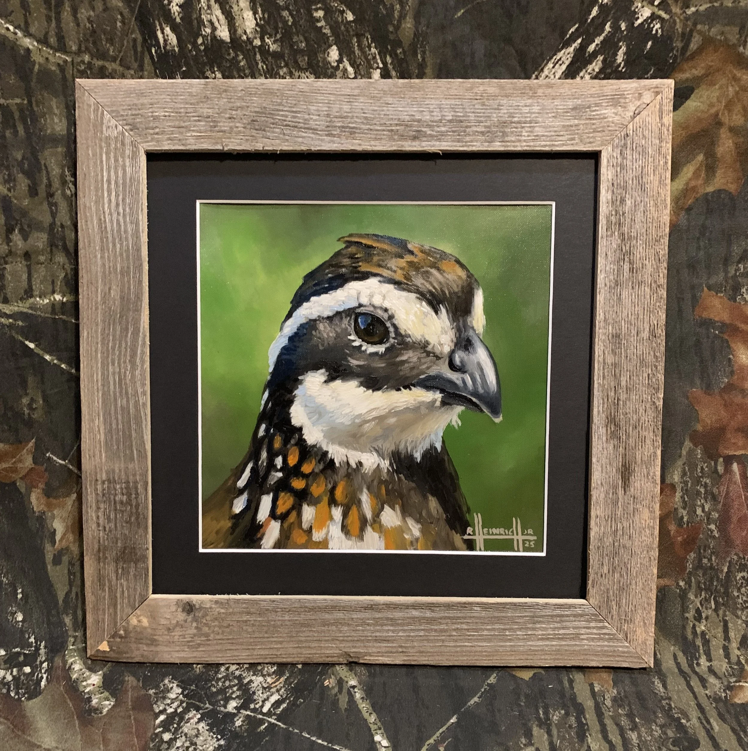 Bobwhite.JPG