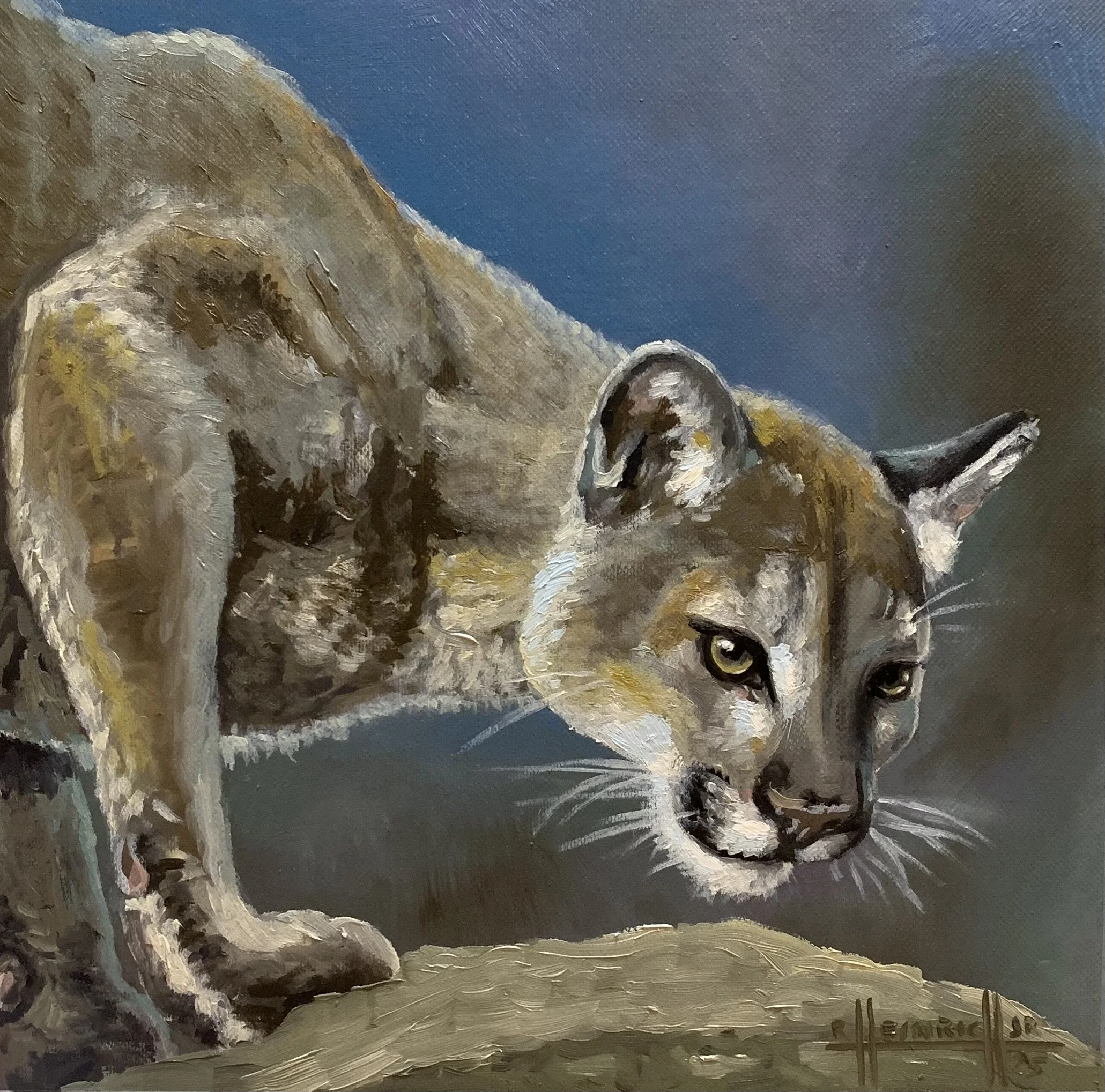 Mountain Lion