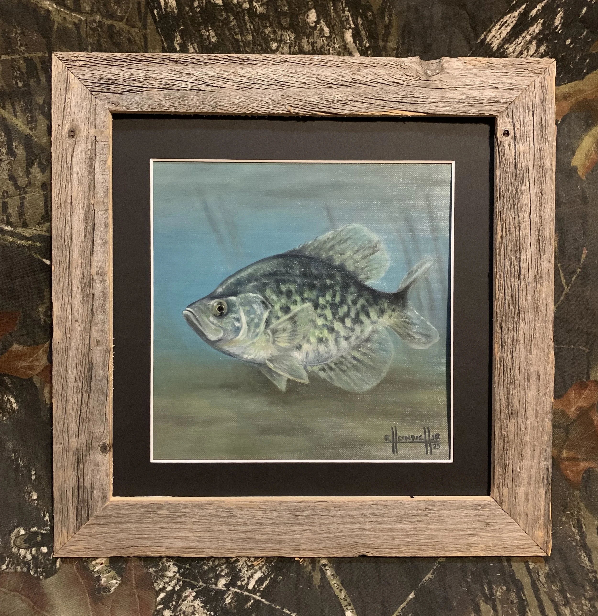 Black Crappie.JPG